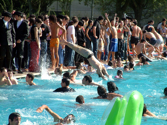 Thumbnail da galeria Caloiro de Molho