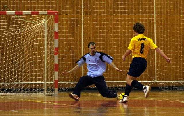 Thumbnail da galeria LUF - AAUM x FP