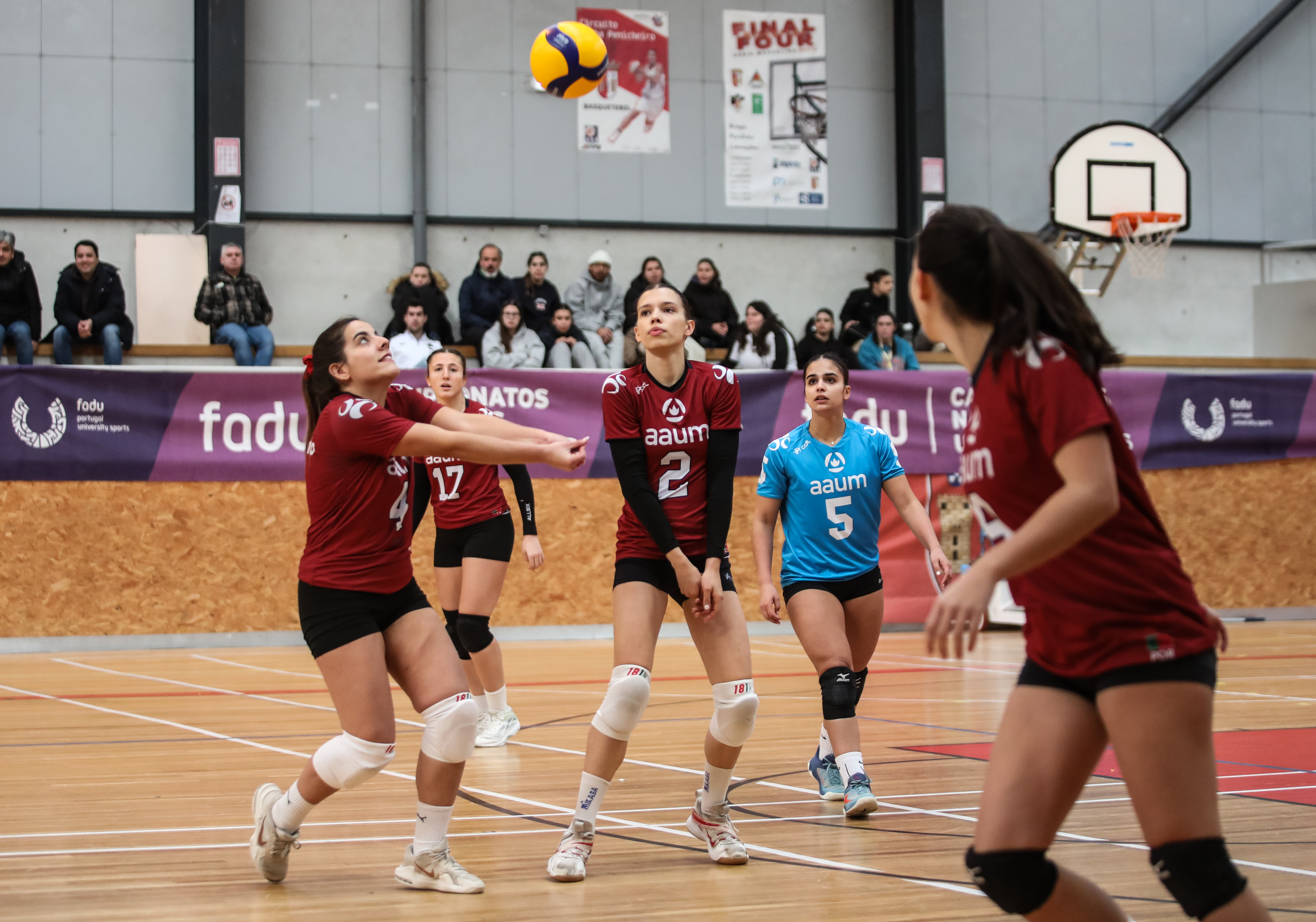Imagem número 1 da galeria Jornada Concentrada de Apuramento Voleibol F