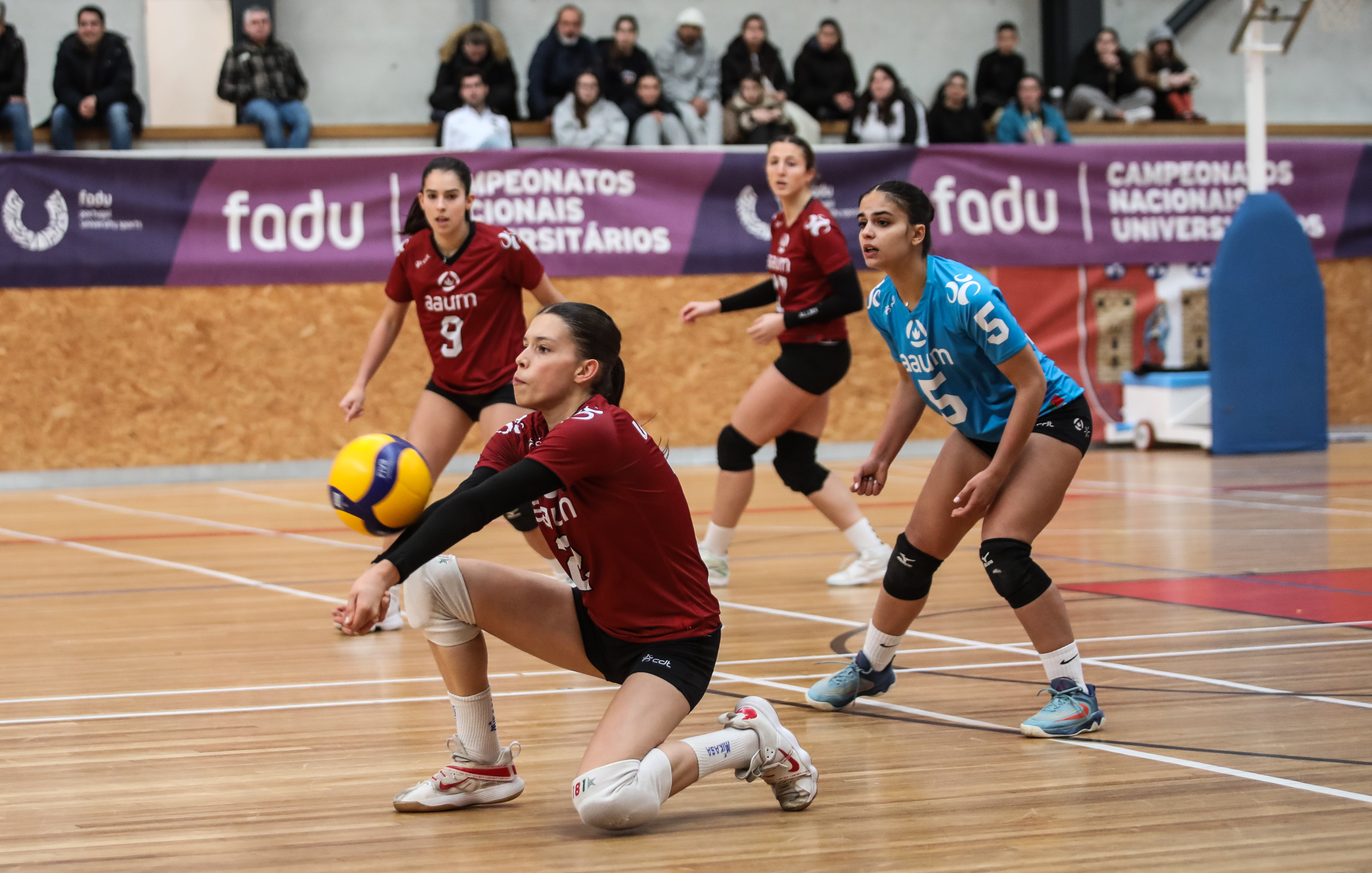 Imagem número 7 da galeria Jornada Concentrada de Apuramento Voleibol F
