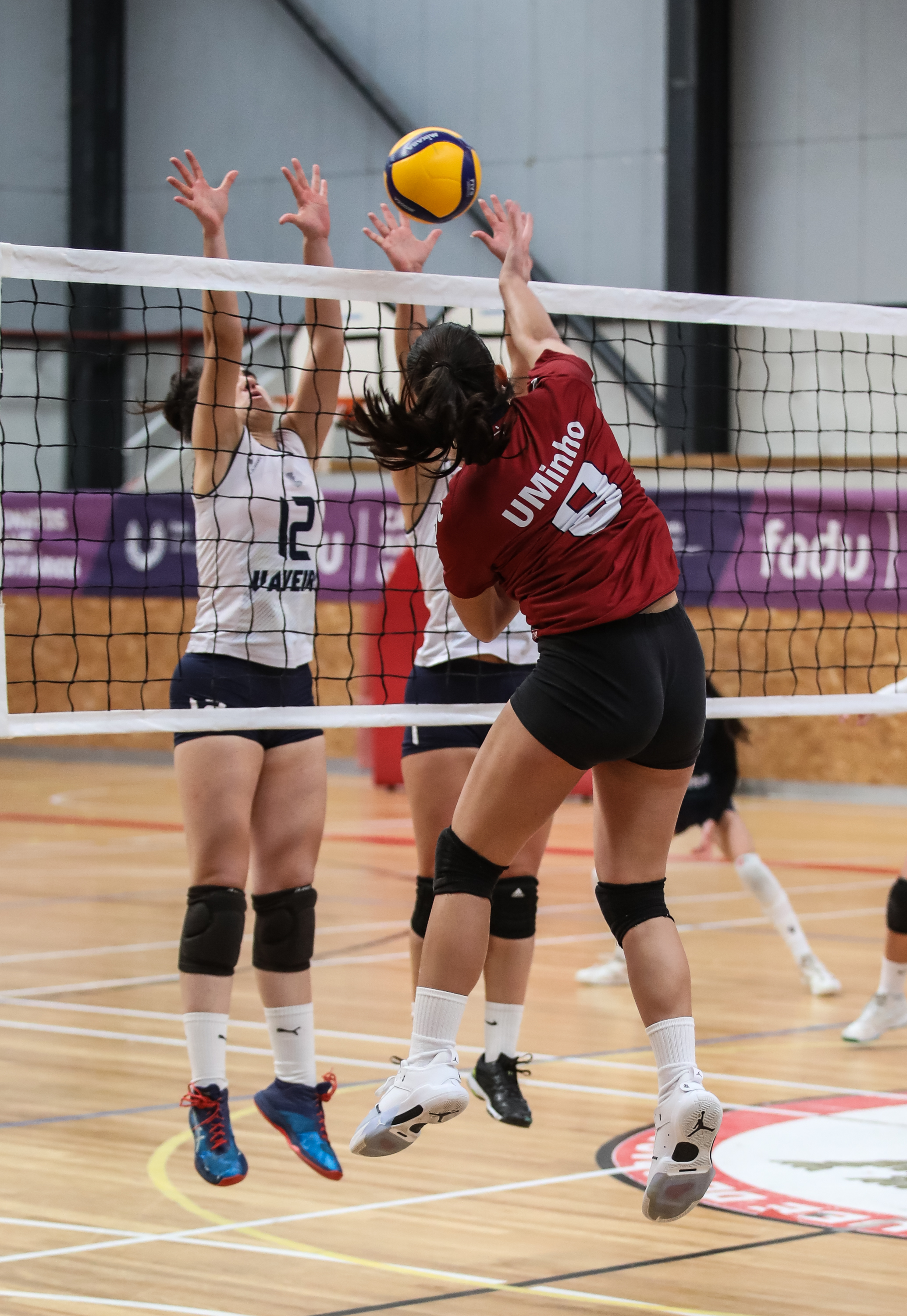 Imagem número 9 da galeria Jornada Concentrada de Apuramento Voleibol F