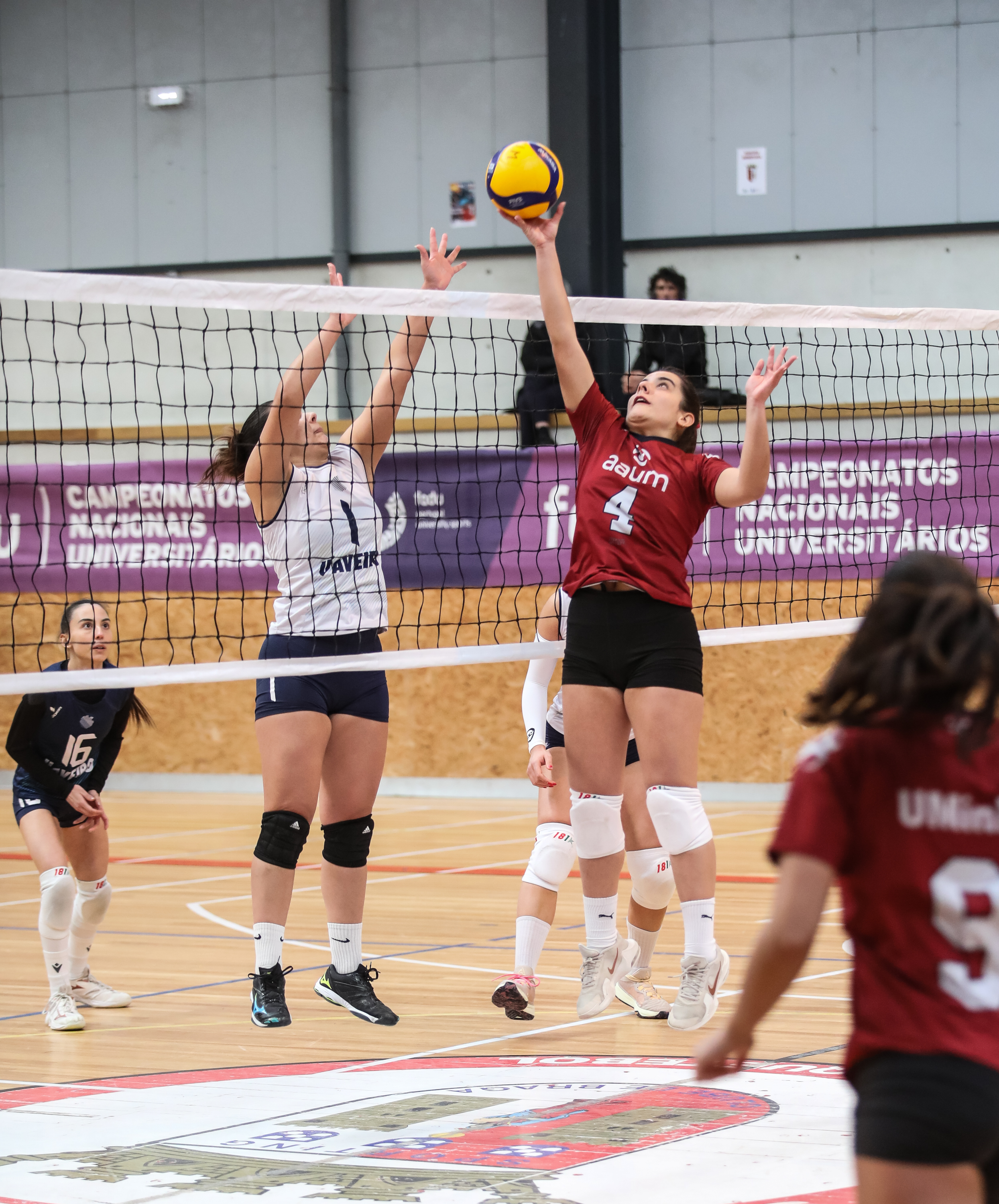 Imagem número 9 da galeria Jornada Concentrada de Apuramento Voleibol F