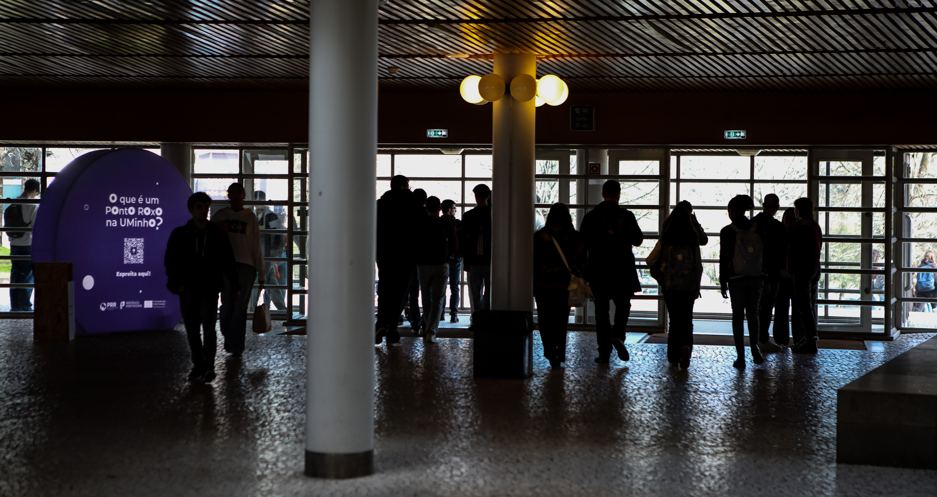 Imagem número 2 da galeria Ponto Roxo