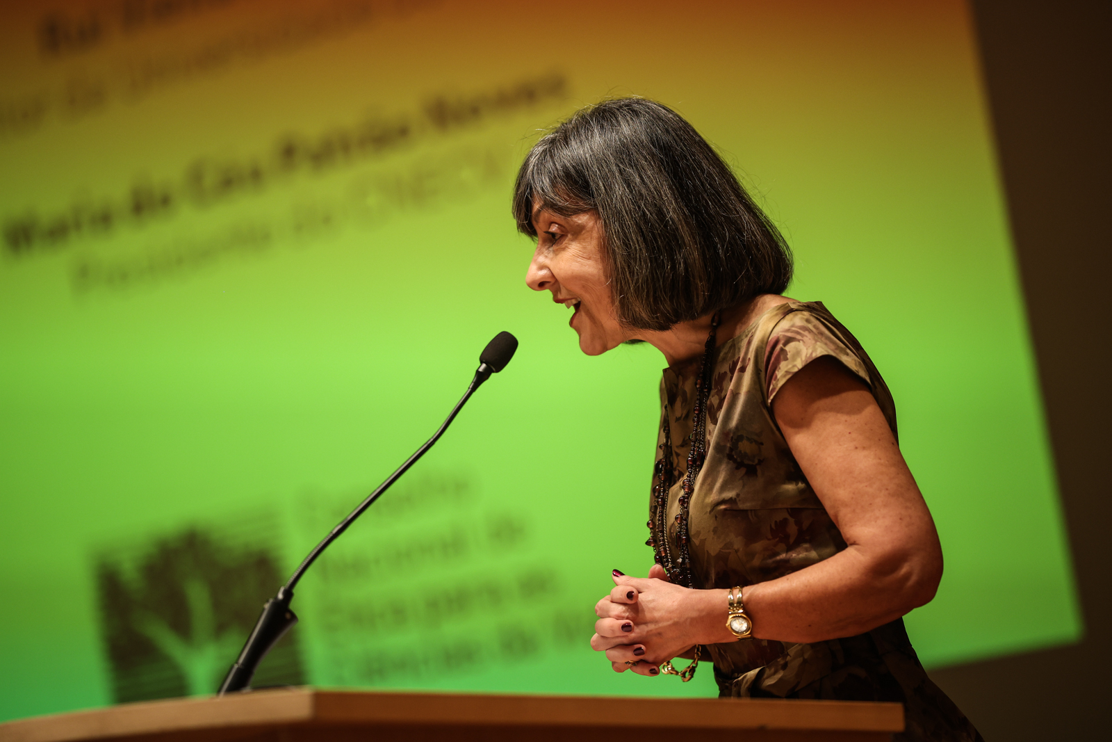 Imagem número 8 da galeria Apresentação Livro Branco sobre a IA