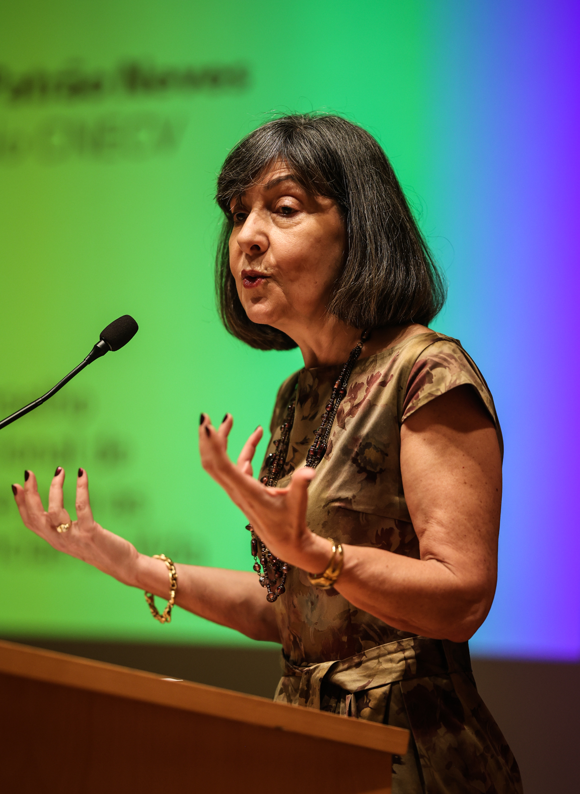 Imagem número 9 da galeria Apresentação Livro Branco sobre a IA