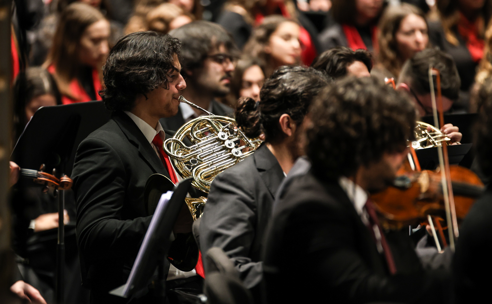 Imagem número 9 da galeria Concerto 50 Anos - Braga
