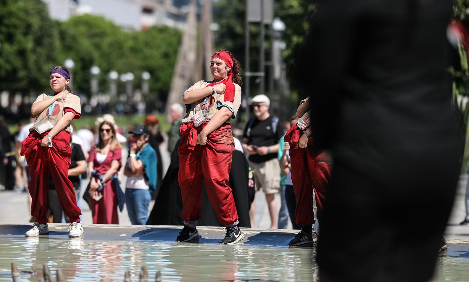 Imagem número 6 da galeria Cortejo