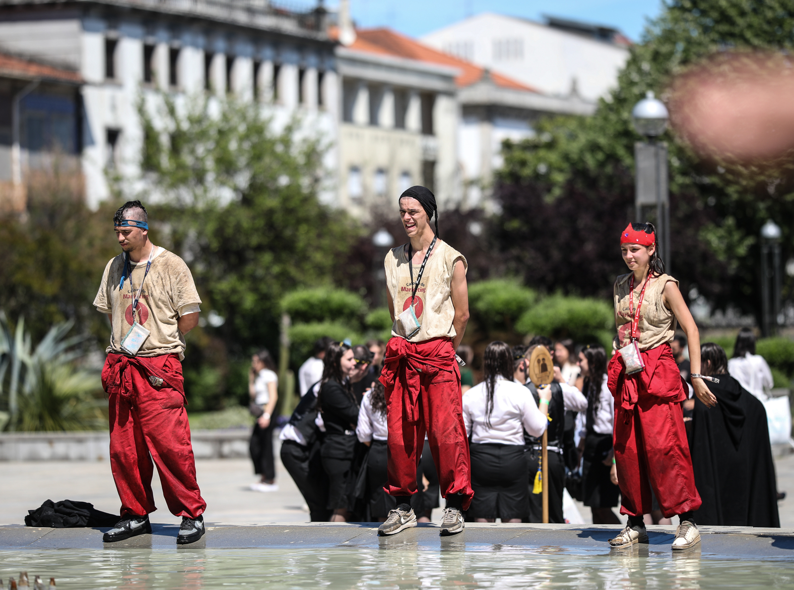 Imagem número 4 da galeria Cortejo