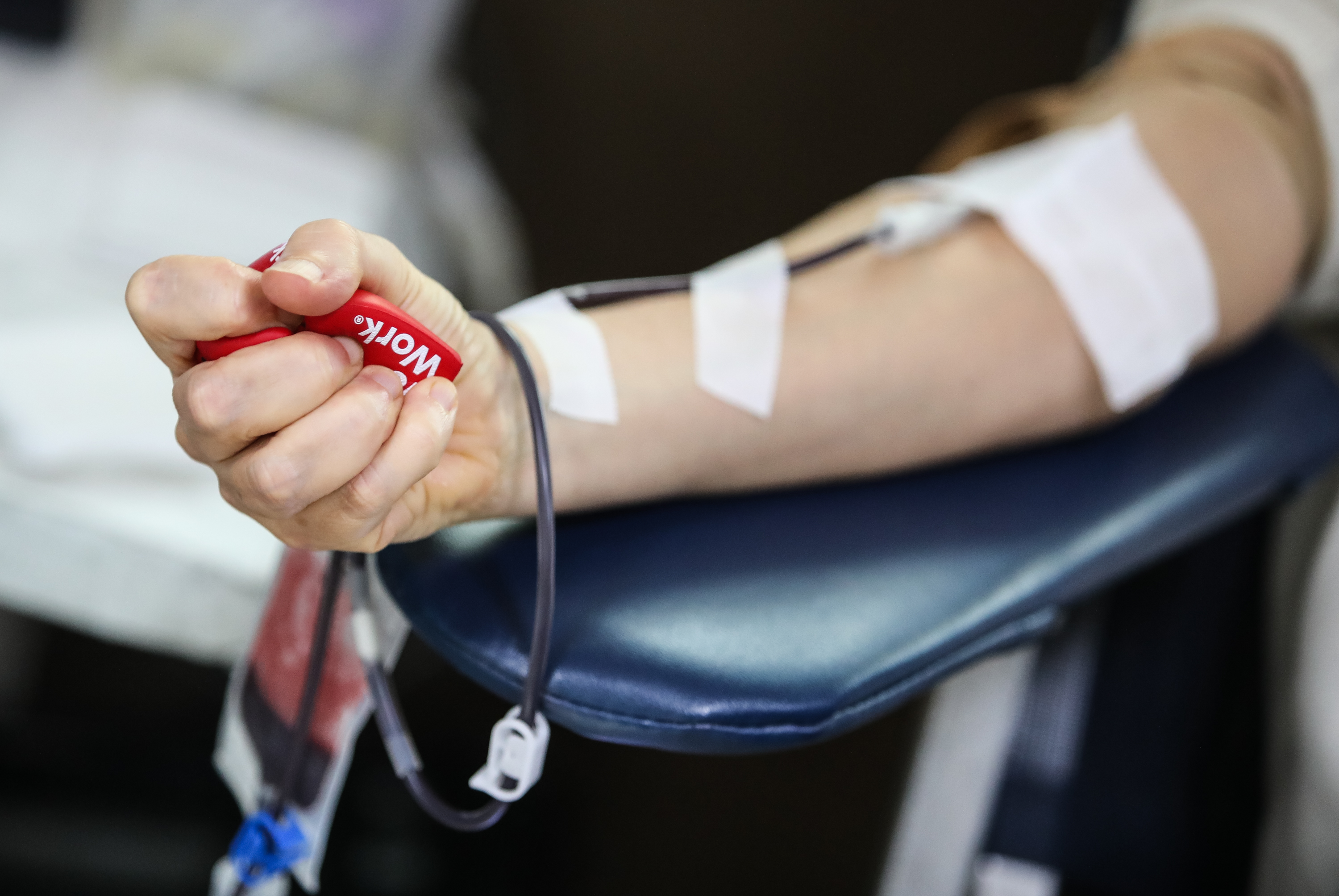 Imagem número 8 da galeria Dádiva de Sangue