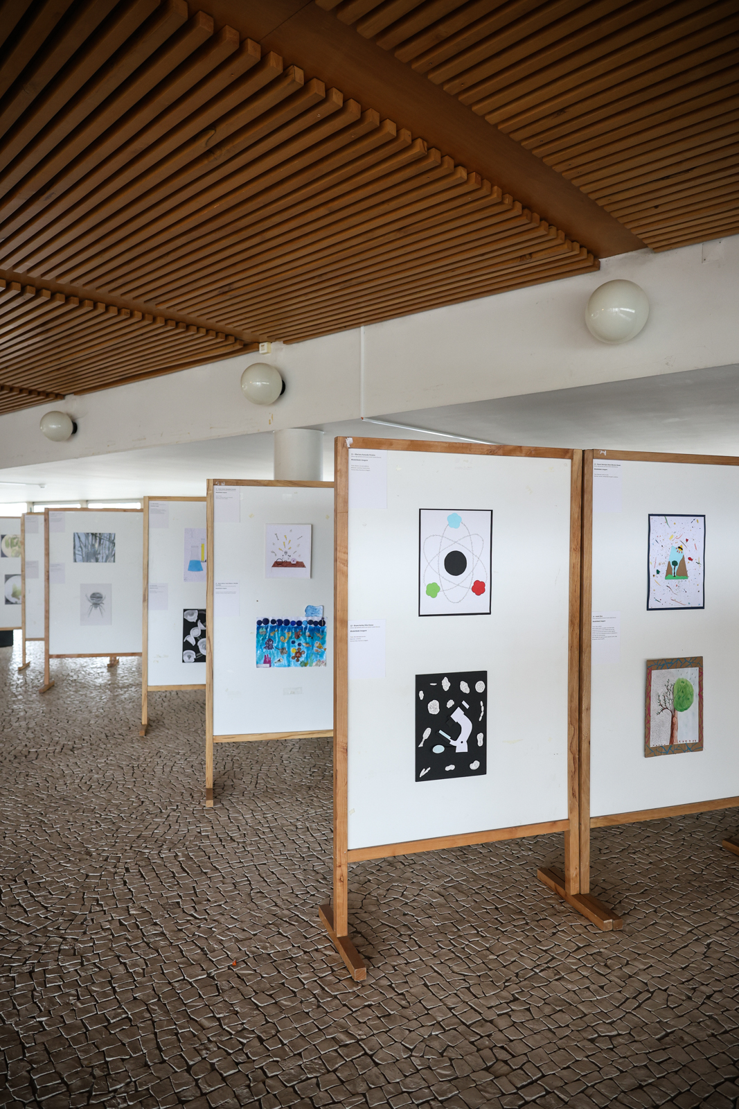 Imagem número 4 da galeria Aniversário Escola de Ciências
