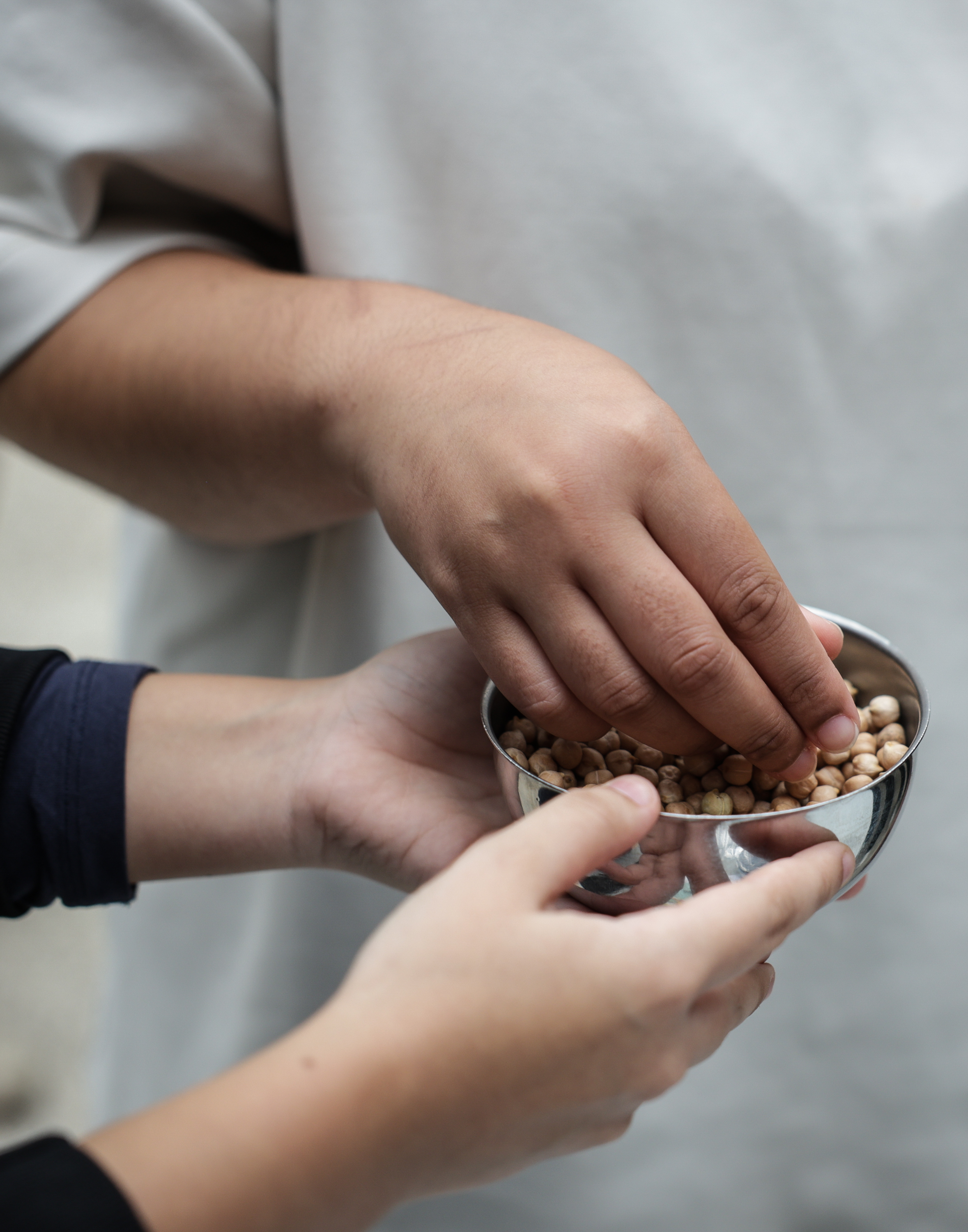 Imagem número 7 da galeria Dia Mundial da Alimentação