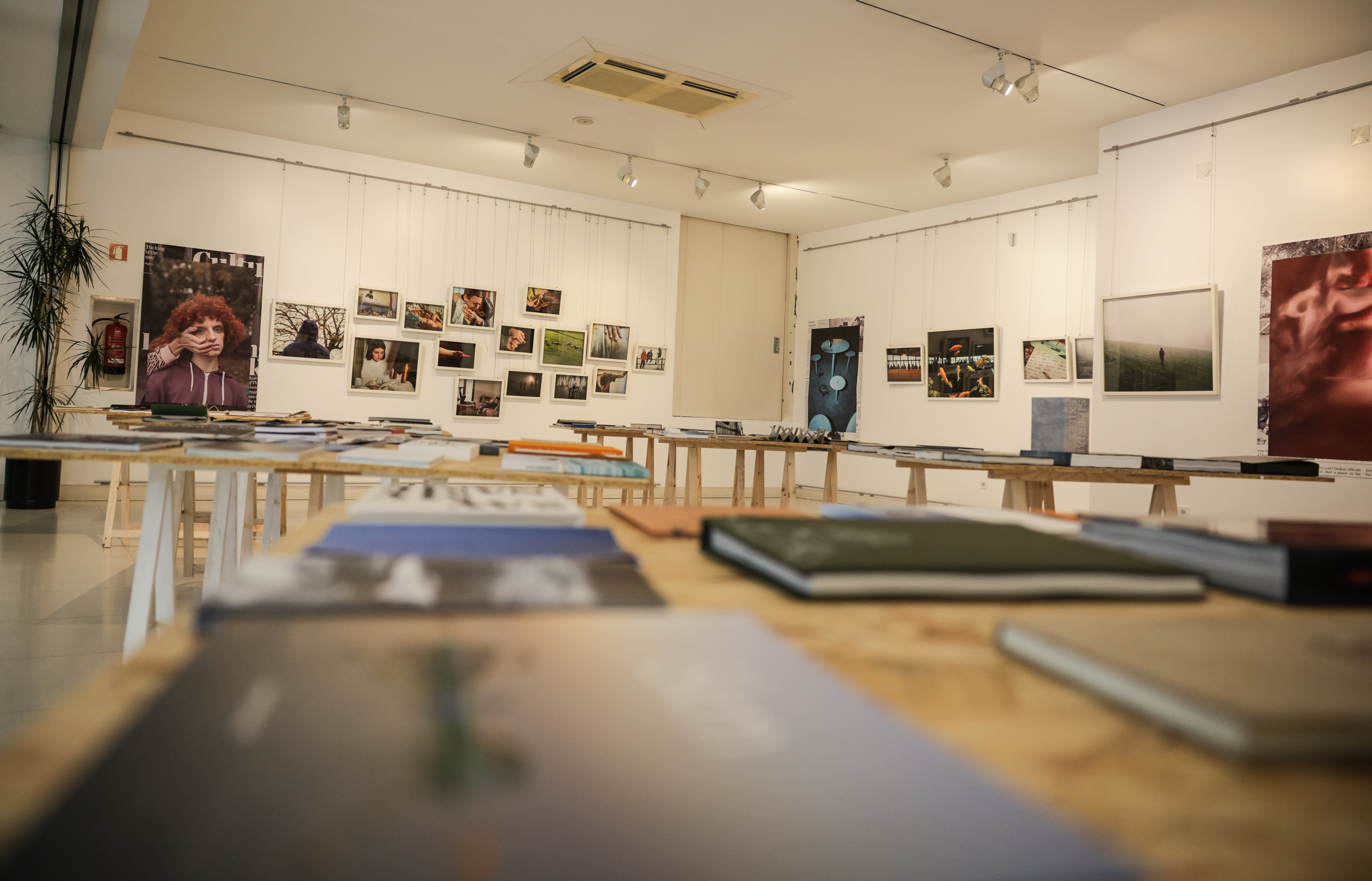 Imagem número 9 da galeria Encontros da Imagem