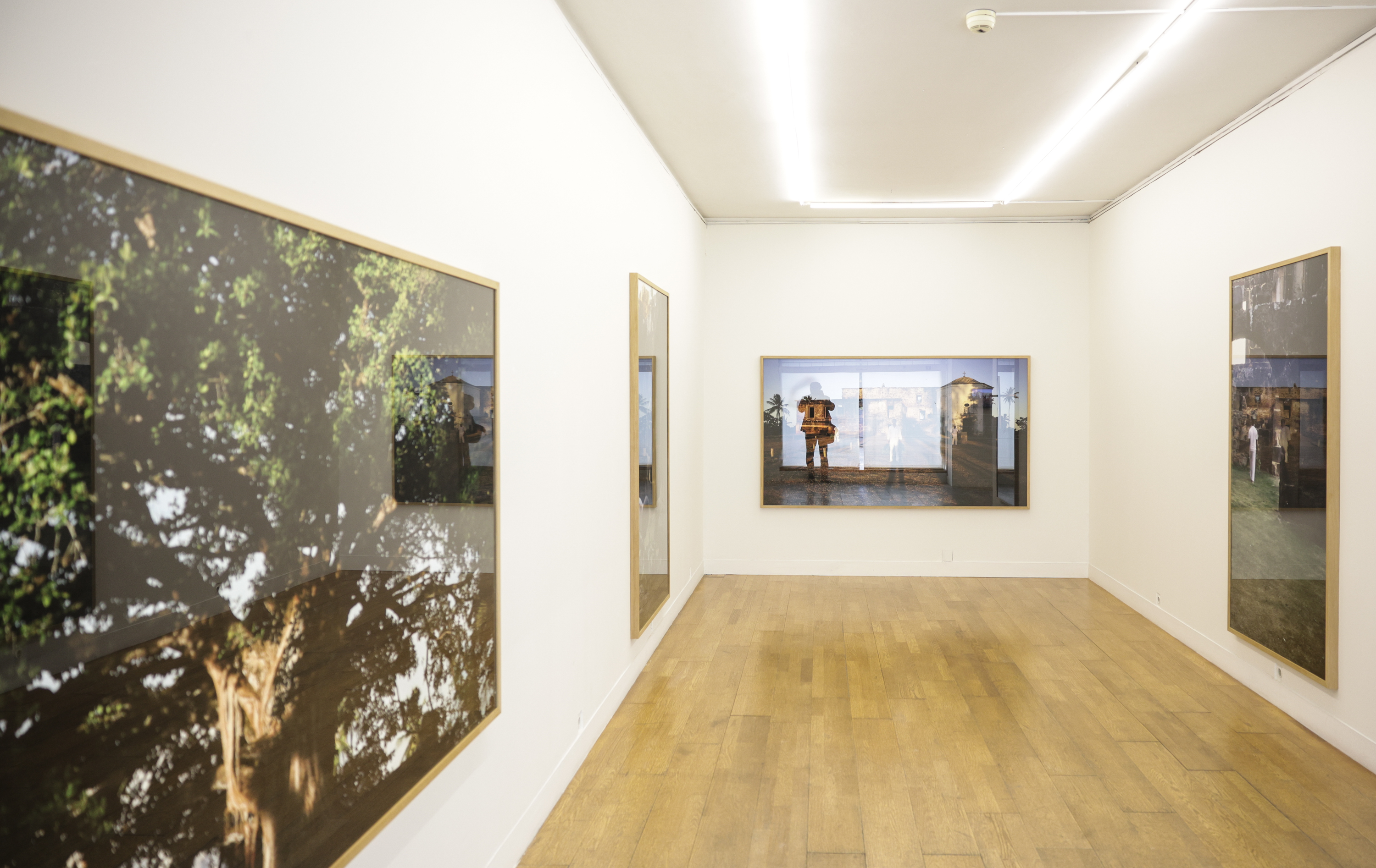 Imagem número 7 da galeria Encontros da Imagem