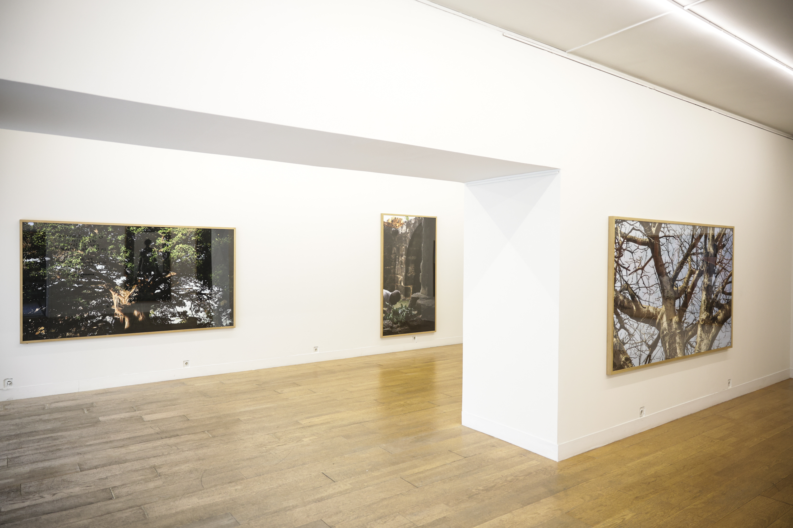 Imagem número 8 da galeria Encontros da Imagem