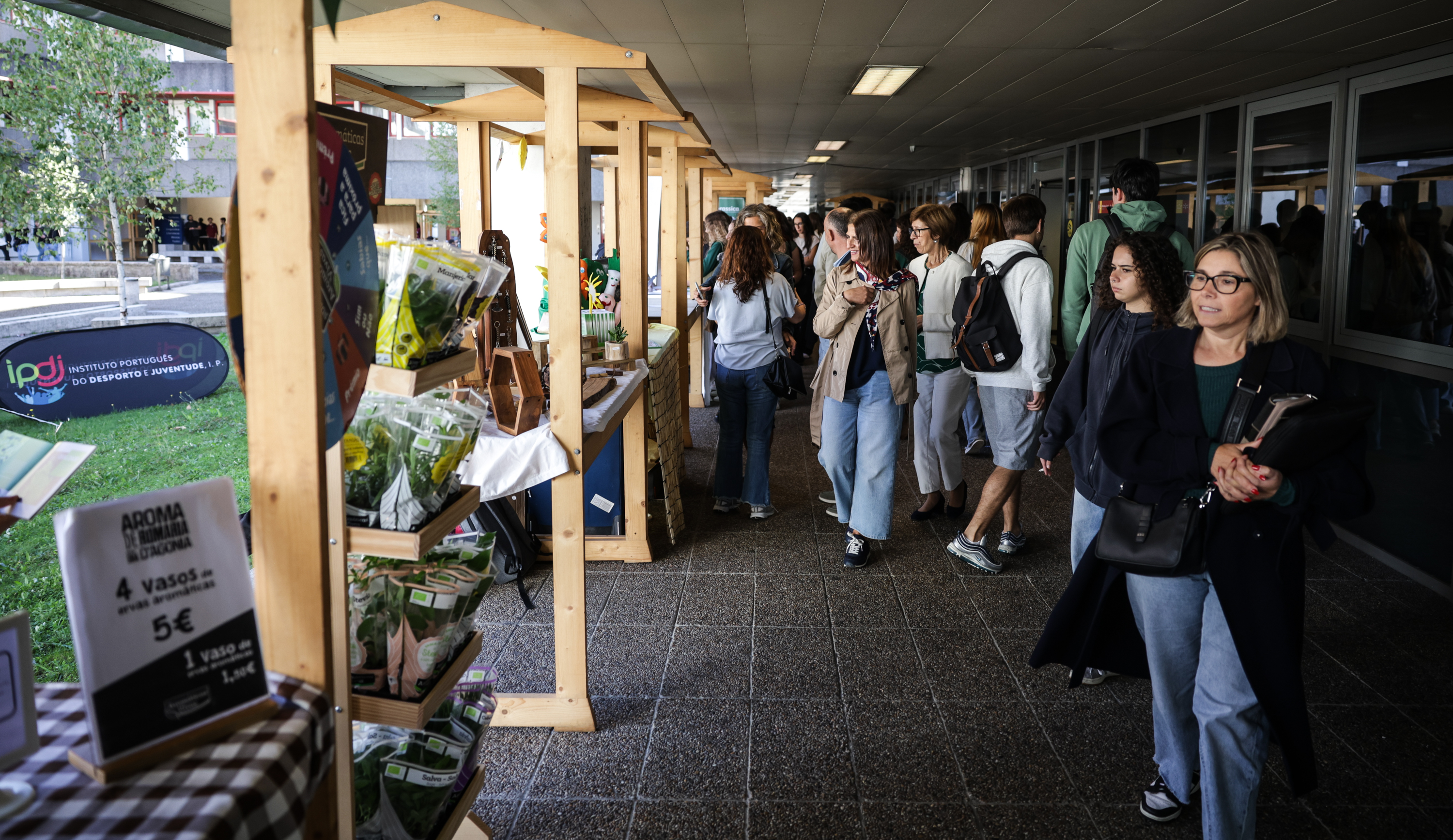Imagem número 7 da galeria GreenFest