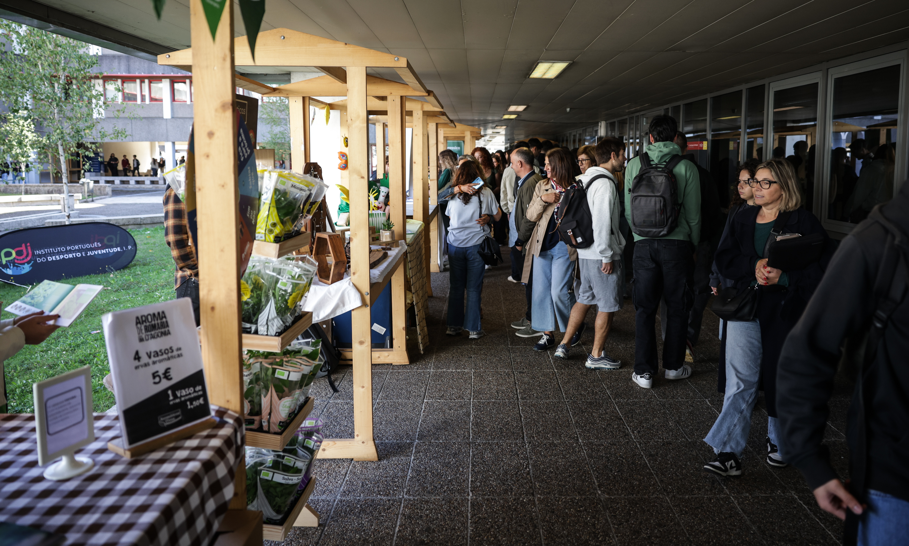 Imagem número 6 da galeria GreenFest