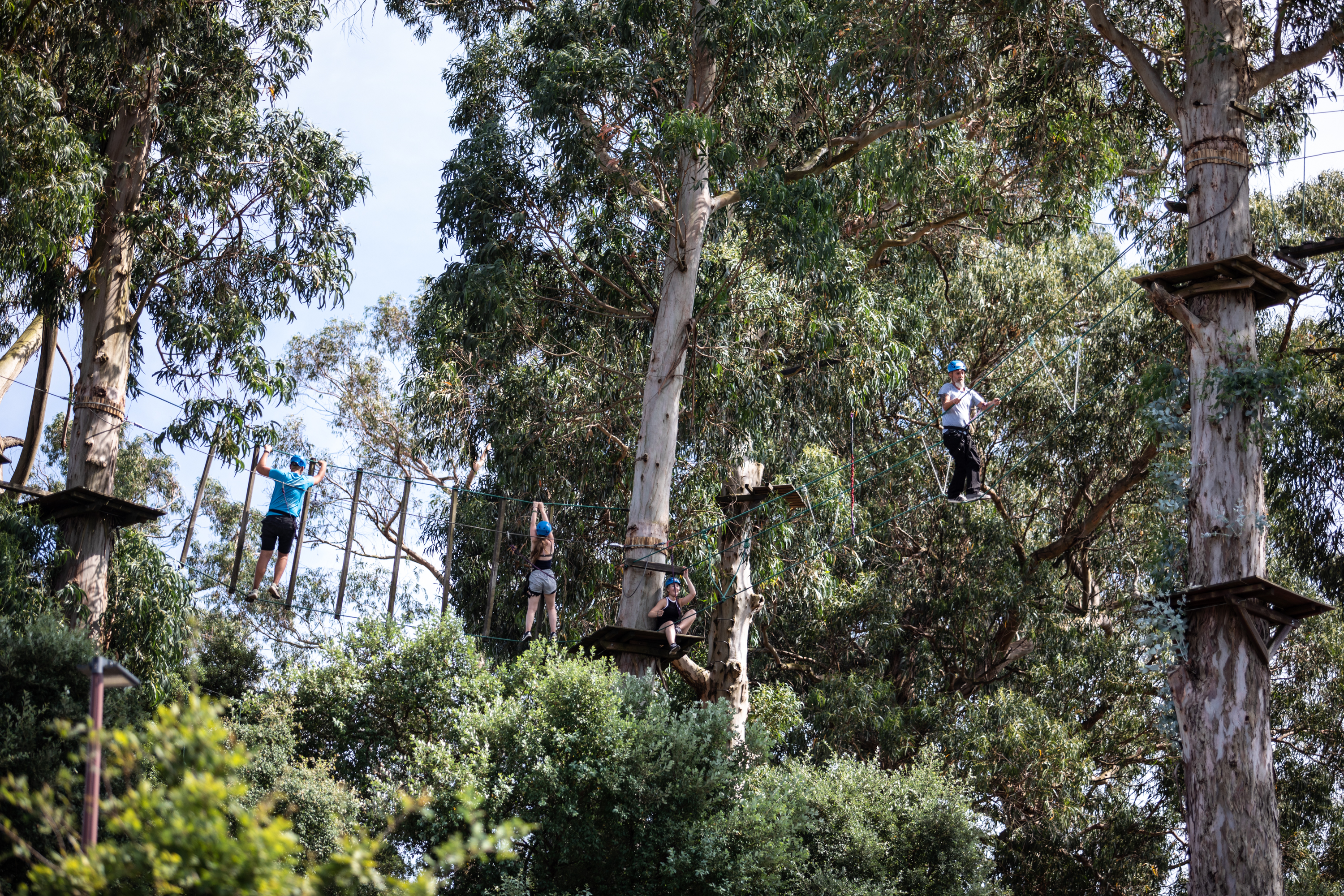 Imagem número 1 da galeria Team Building SASUM