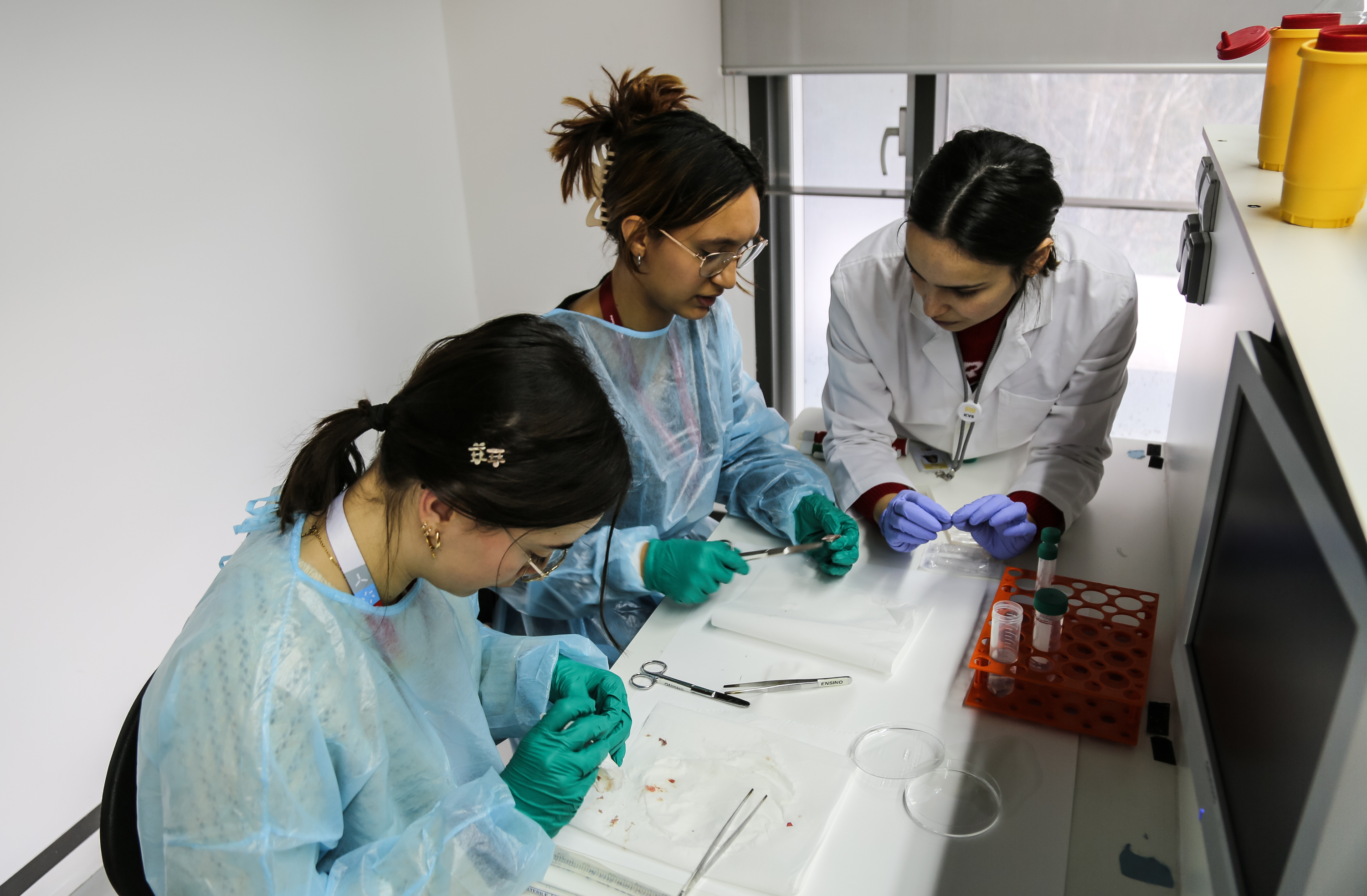 Imagem número 9 da galeria VEM