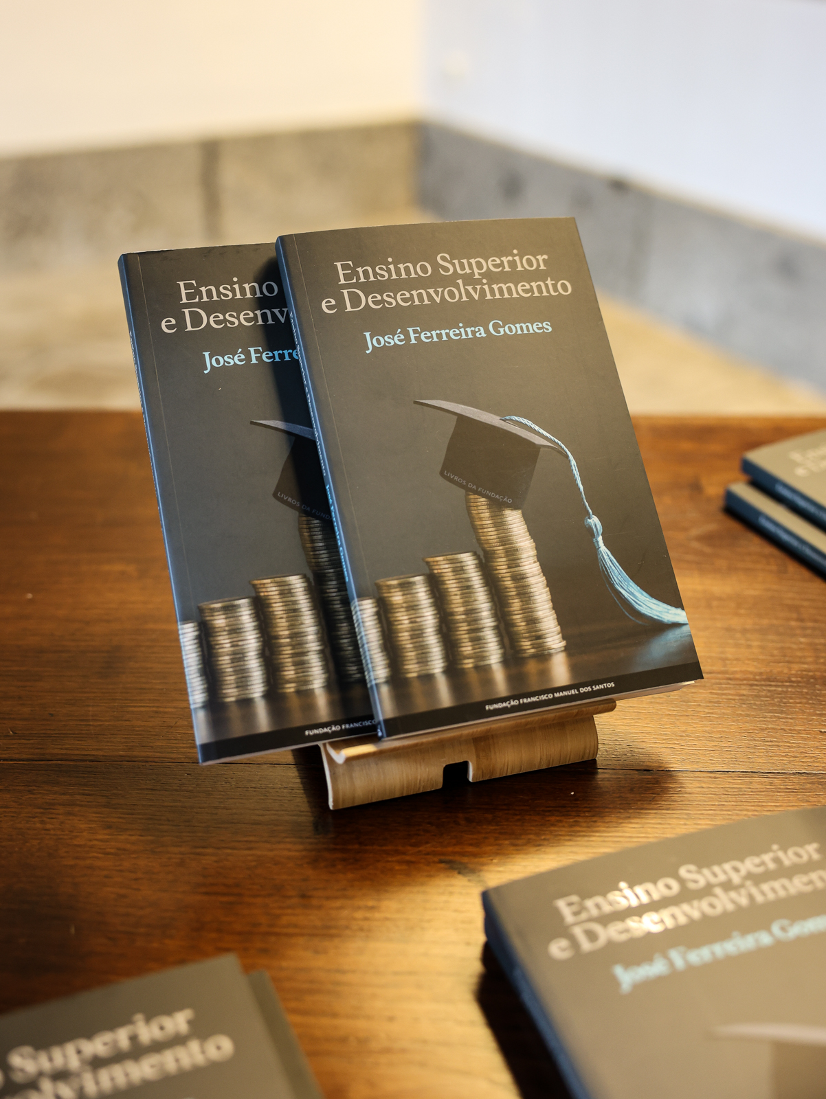 Imagem número 5 da galeria Apresentação Livro Ensino Superior e Desenvolvimento