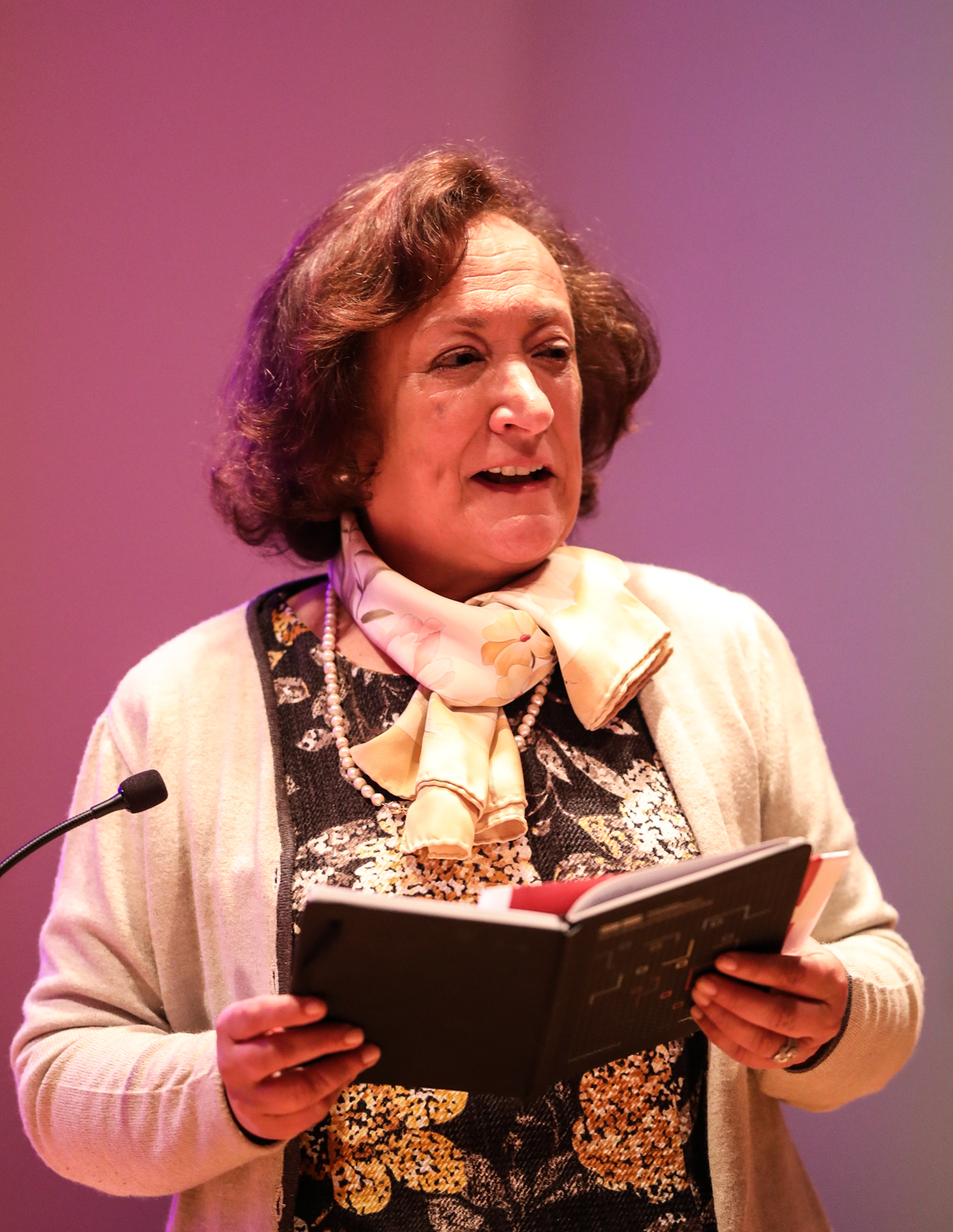 Imagem número 2 da galeria Apresentação Relatório sobre Investigadores