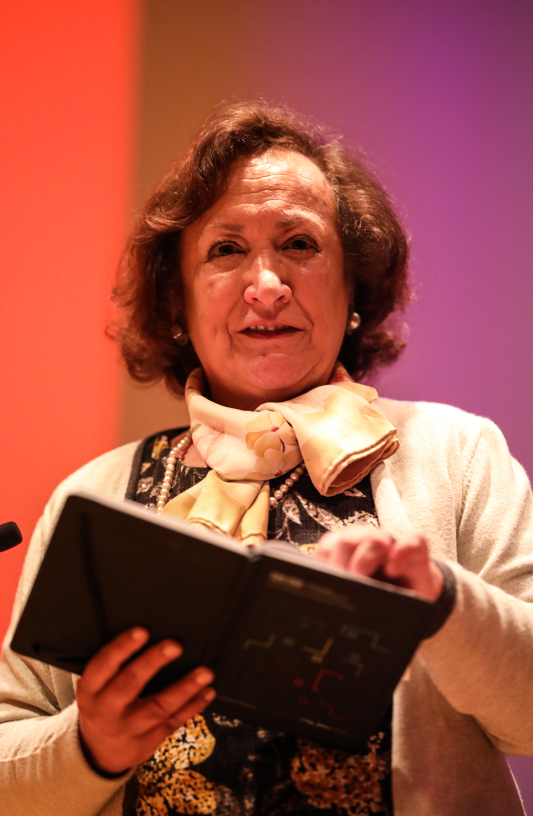 Imagem número 1 da galeria Apresentação Relatório sobre Investigadores