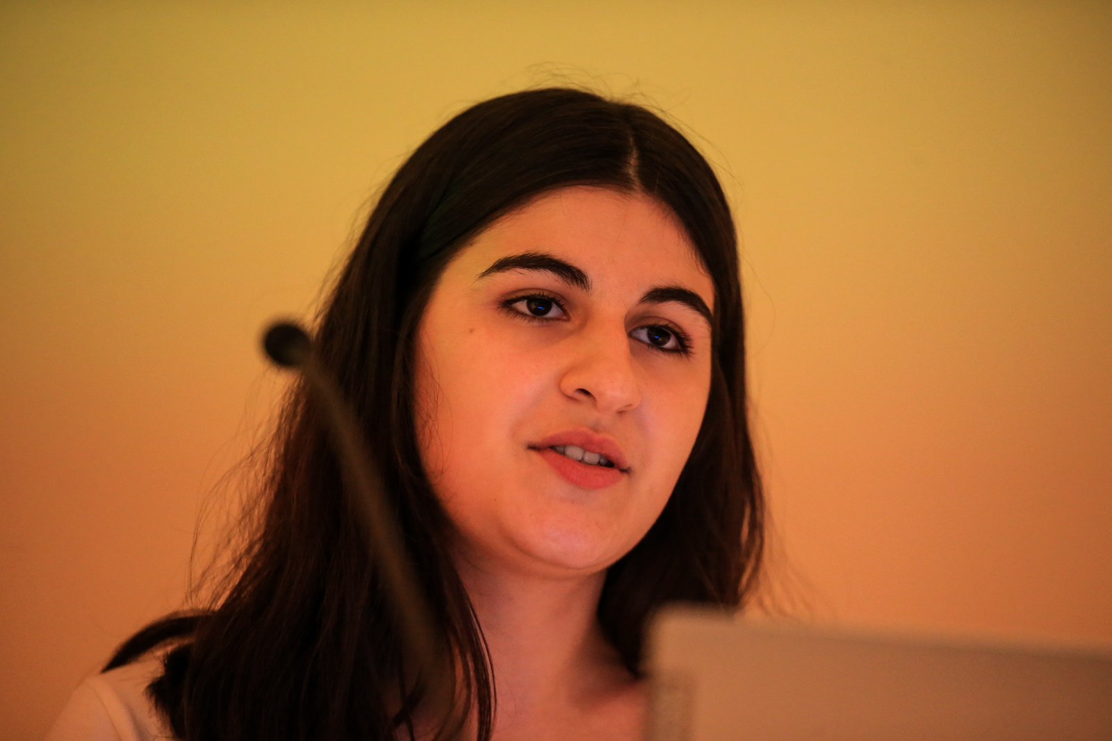 Imagem número 5 da galeria Boas-vindas Erasmus - 1º Semestre