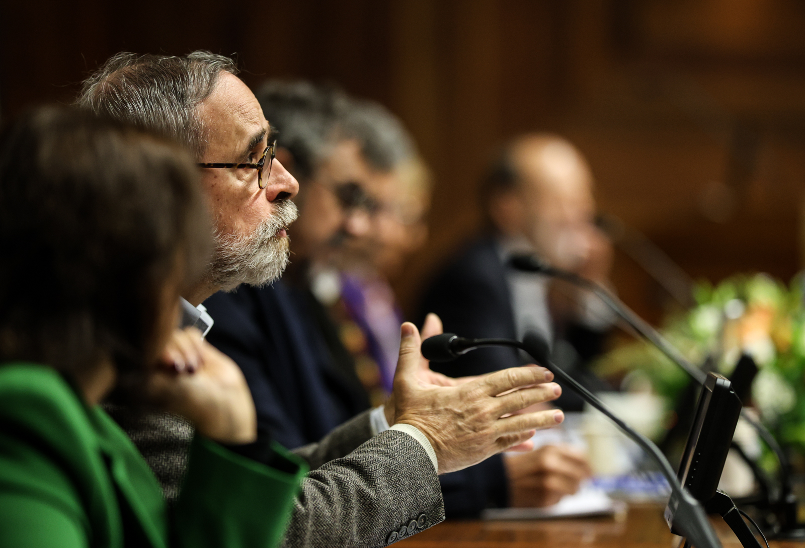 Imagem número 9 da galeria Colóquio de Outono