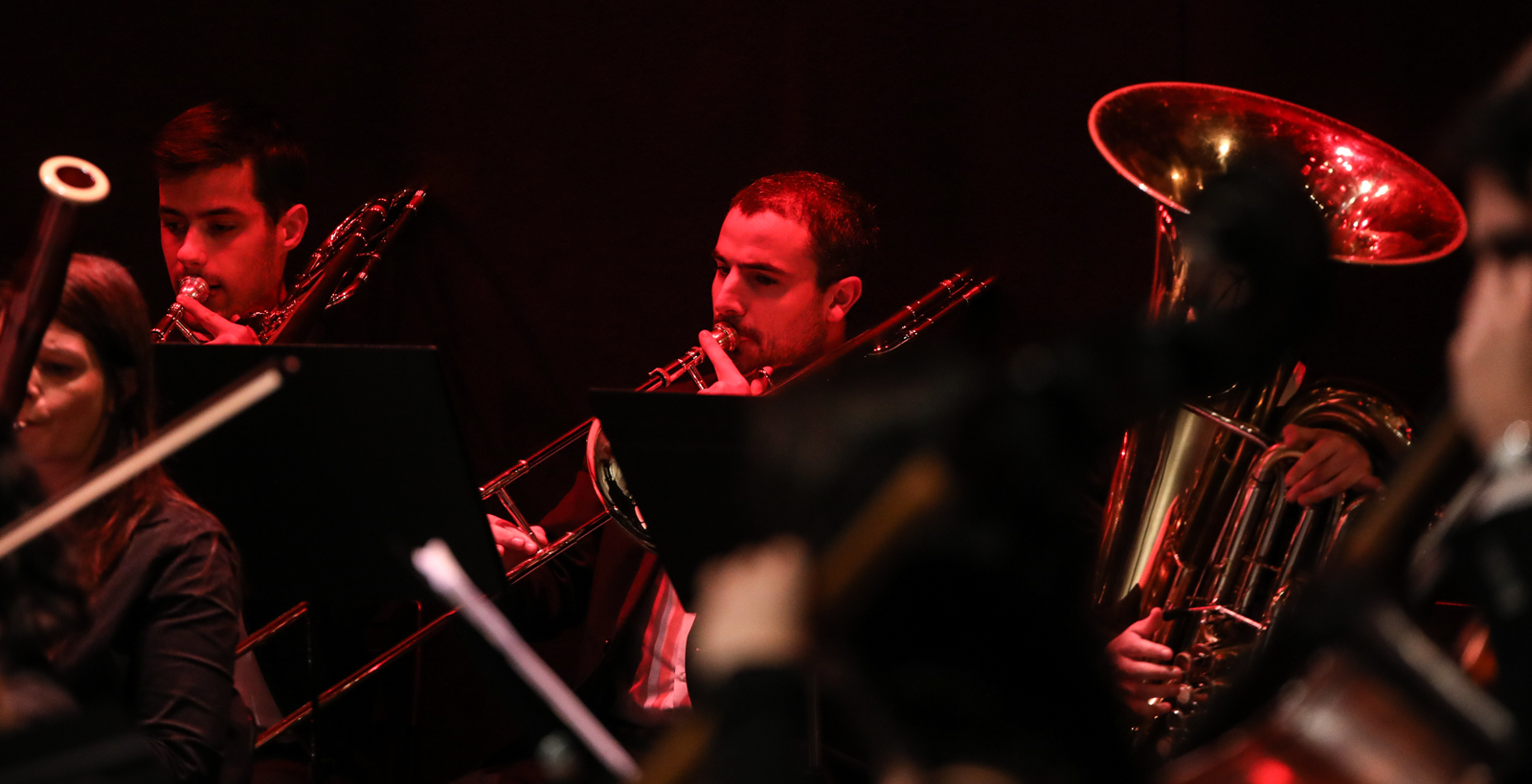 Imagem número 6 da galeria Concerto Ano Novo Chinês