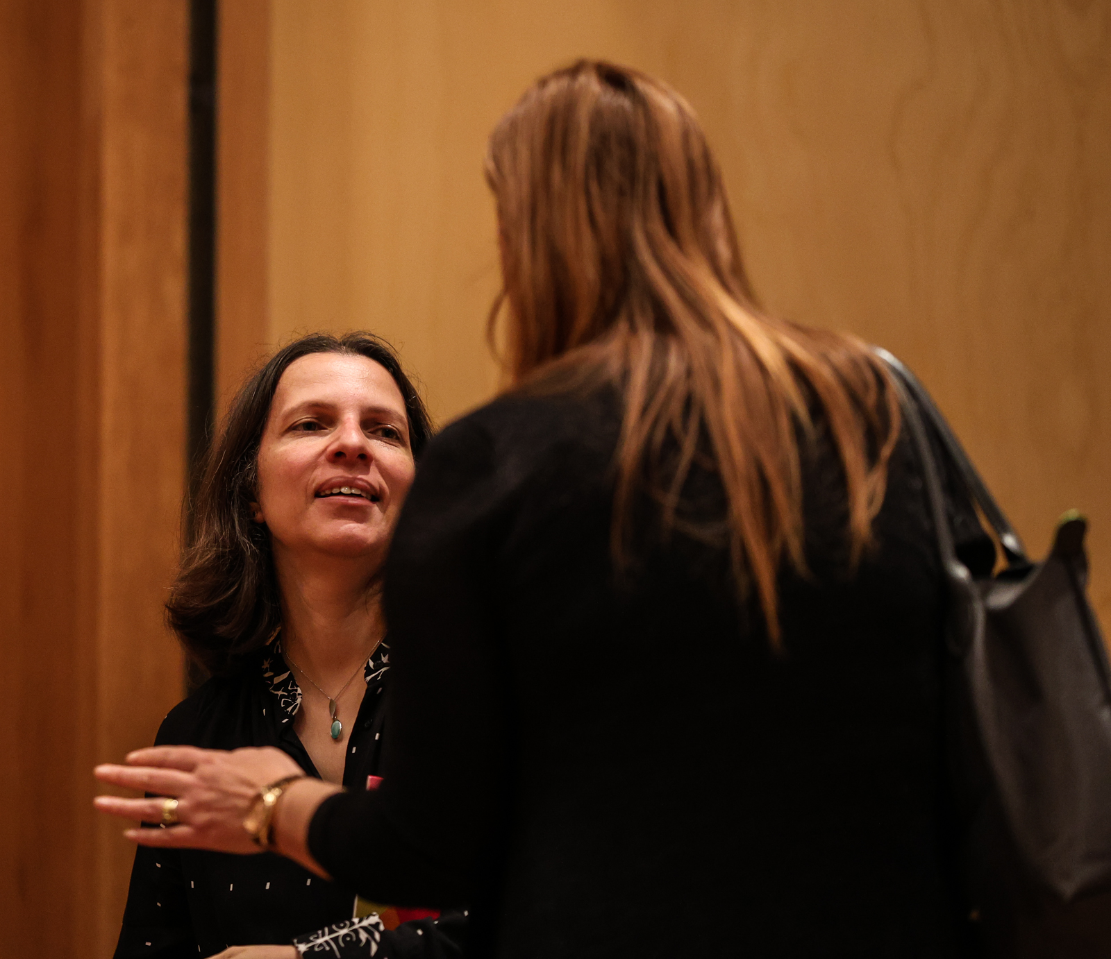 Imagem número 5 da galeria Conferência COVID