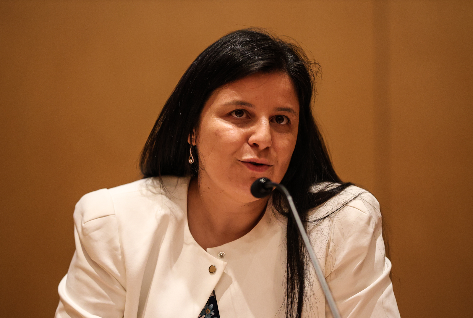 Imagem número 6 da galeria Conferência COVID