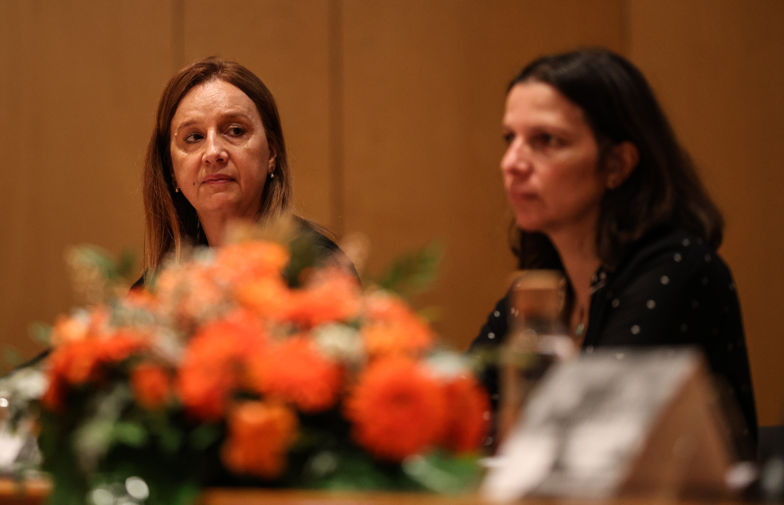 Imagem número 9 da galeria Conferência COVID
