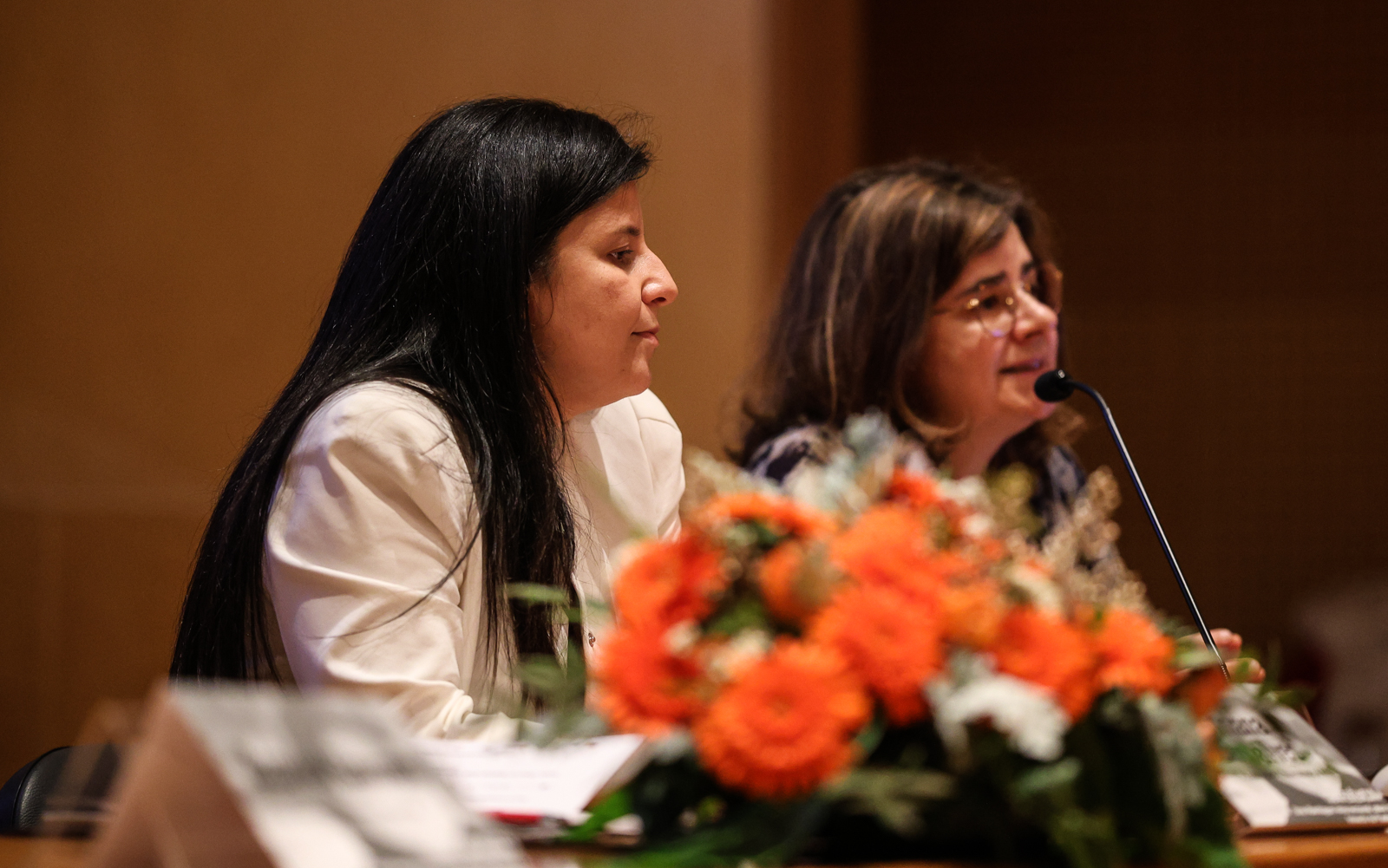 Imagem número 8 da galeria Conferência COVID