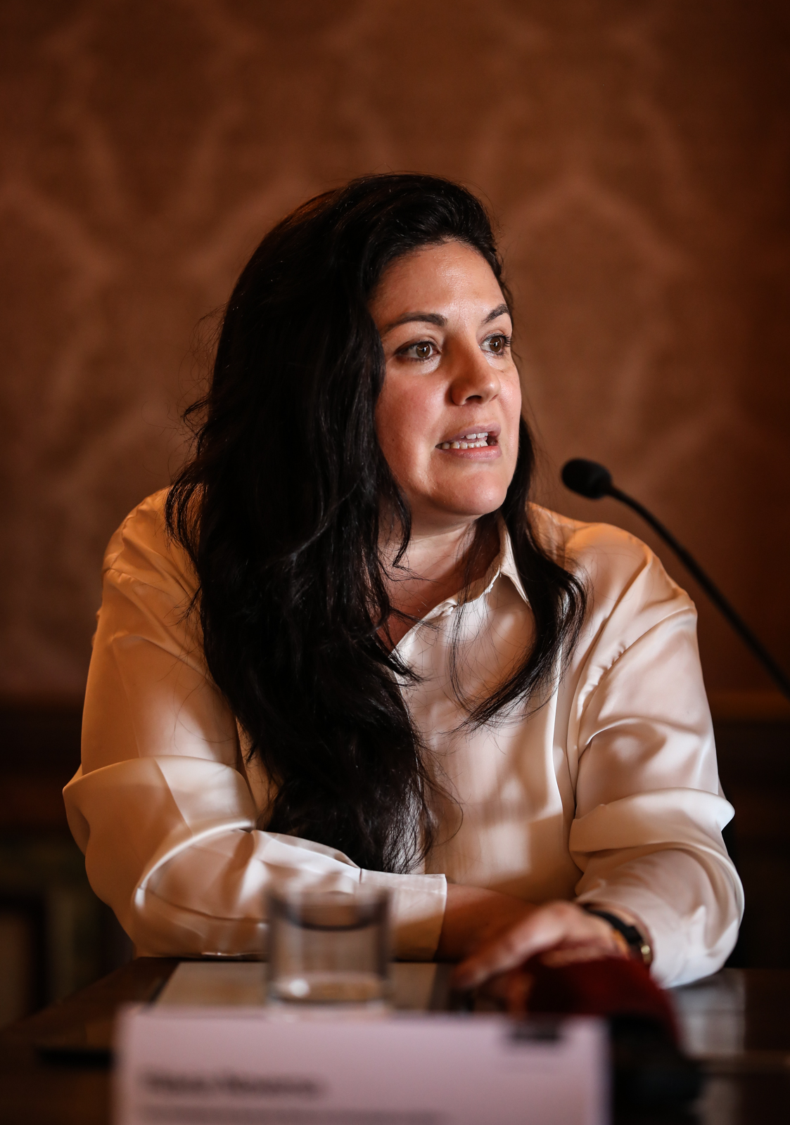 Imagem número 7 da galeria Conferencia de Imprensa Salgado Zenha