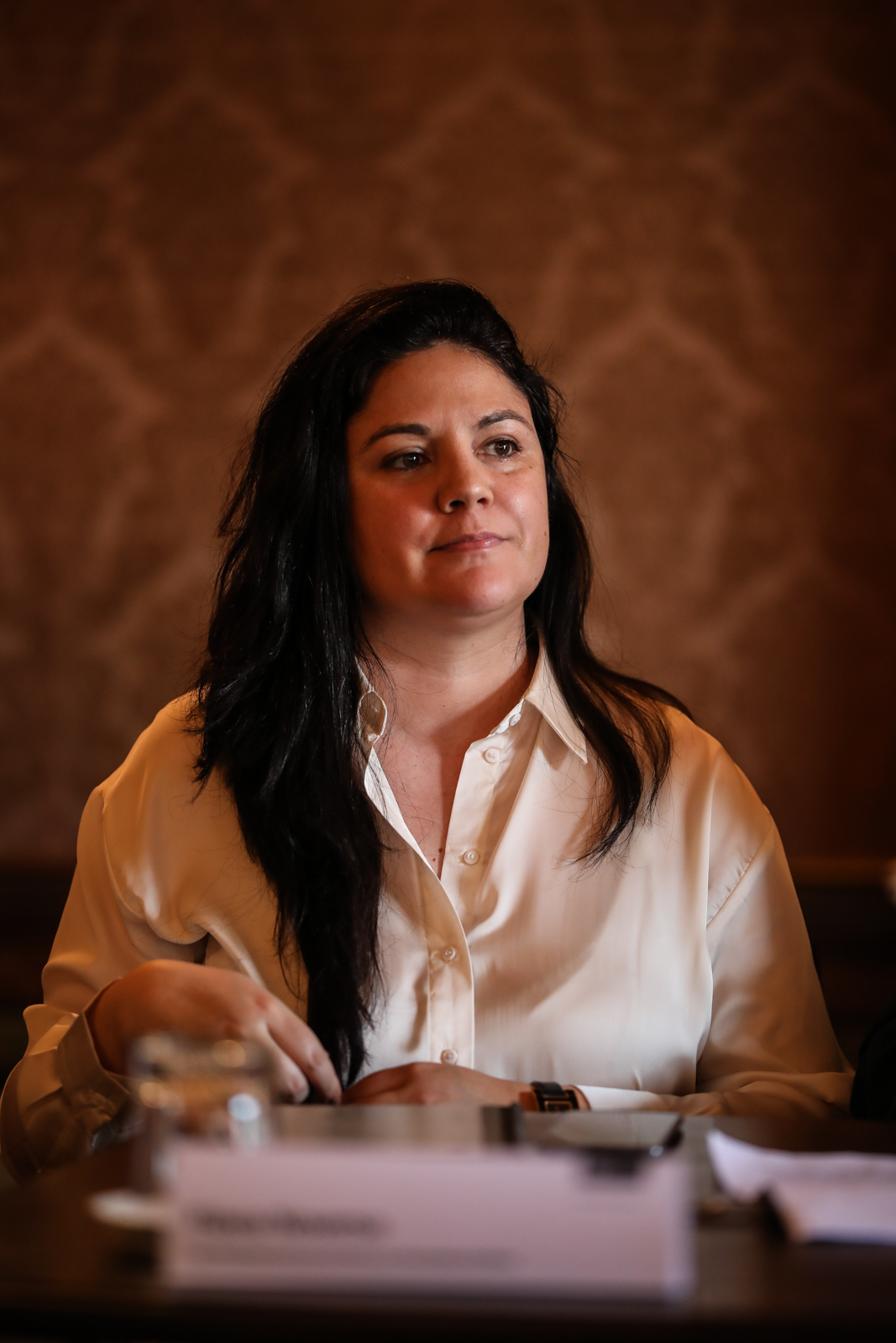 Imagem número 2 da galeria Conferencia de Imprensa Salgado Zenha