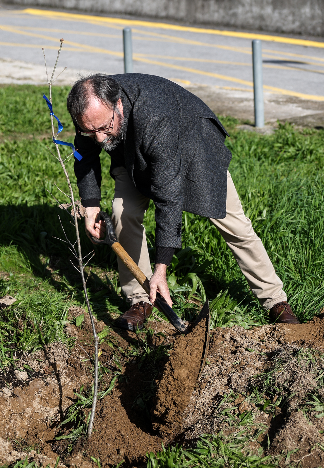 Imagem número 6 da galeria Iniciativa Reflorestar Braga