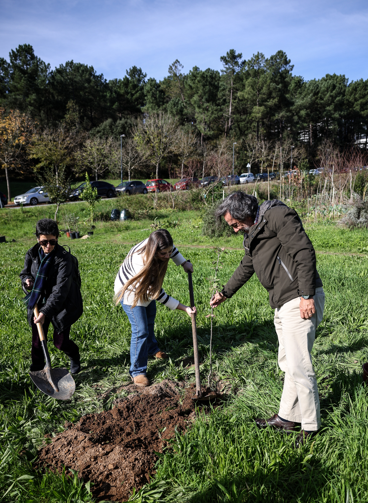 Imagem número 4 da galeria Iniciativa Reflorestar Braga