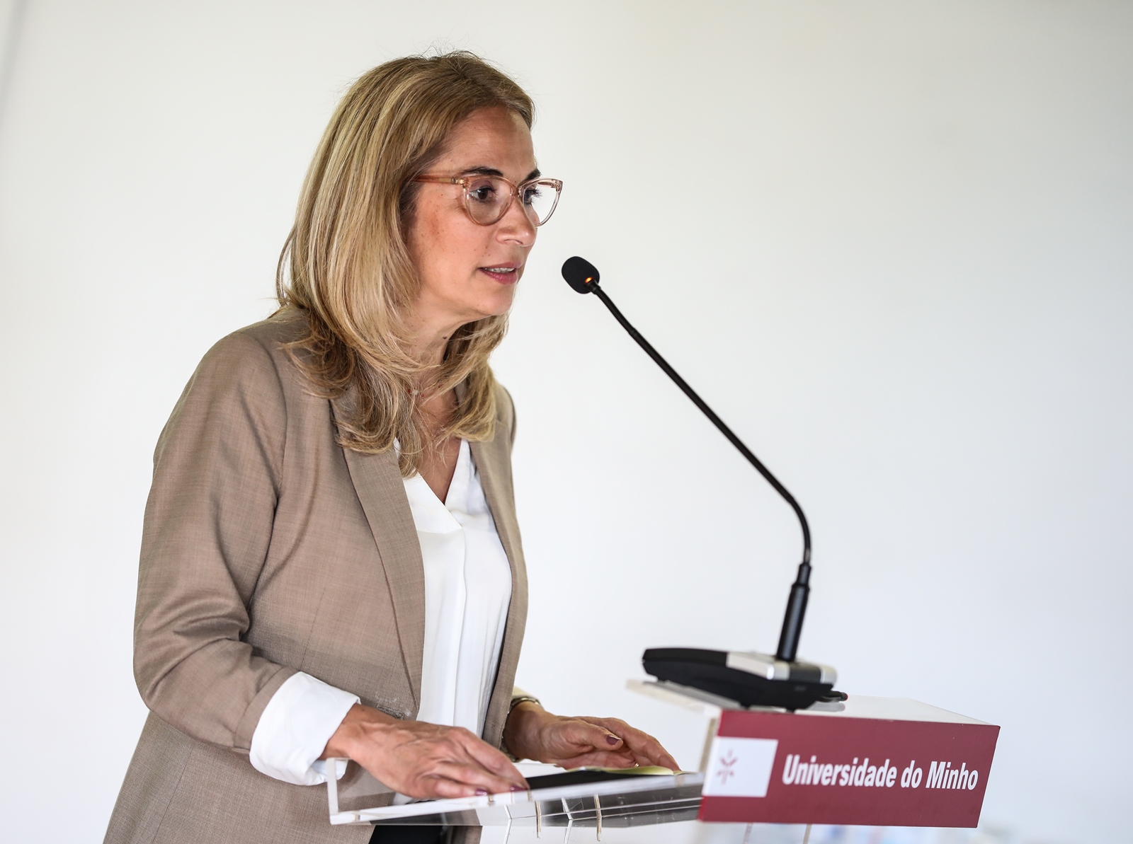 Imagem número 9 da galeria Mentorias