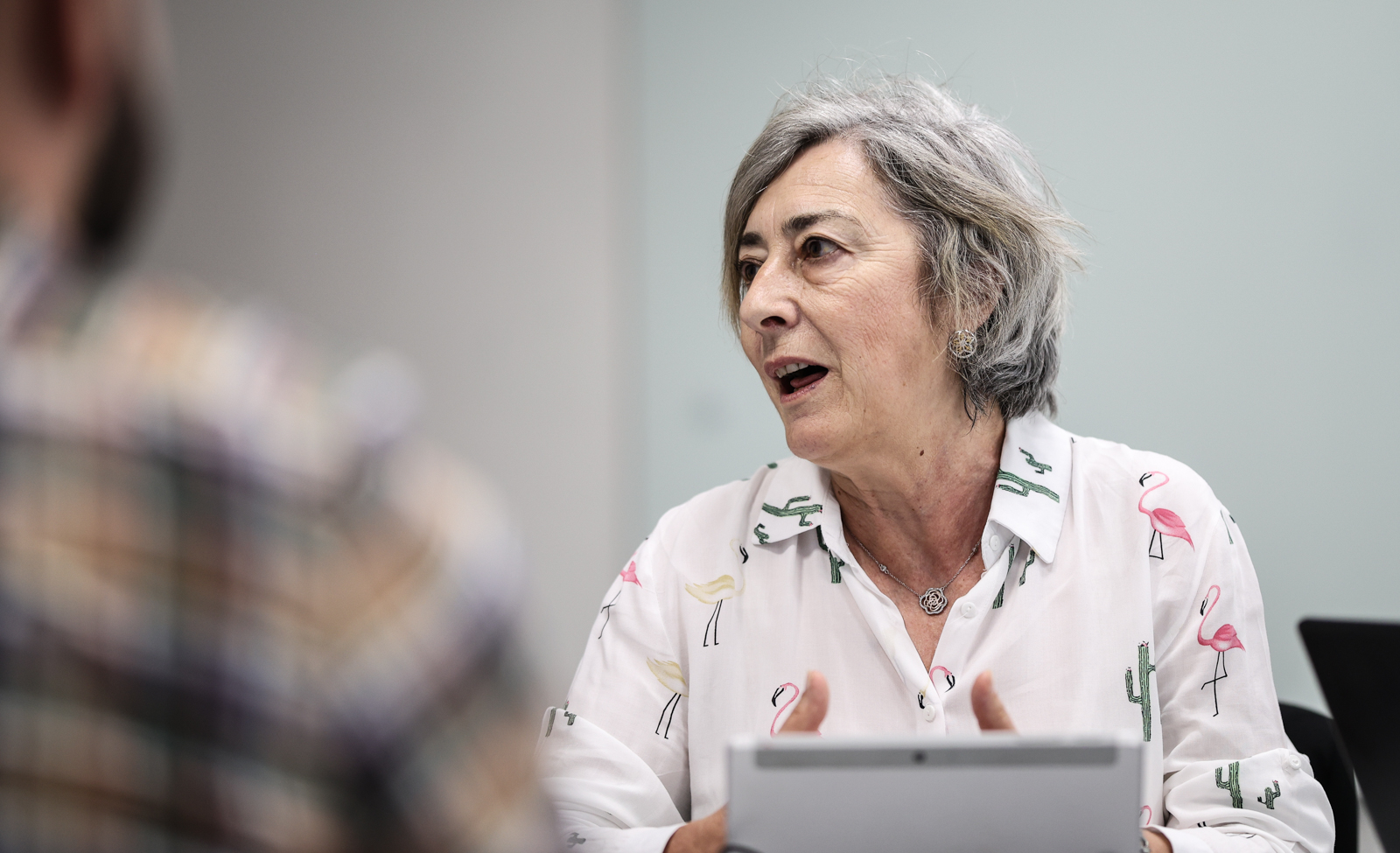 Imagem número 9 da galeria Reunião UNova