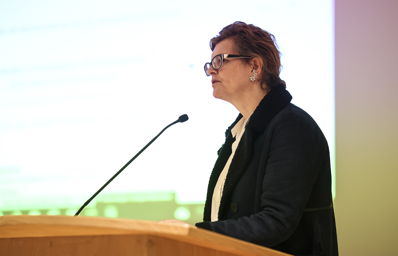 Imagem número 3 da galeria Seminário Inaugural do Programa Doutoral em Sociologia