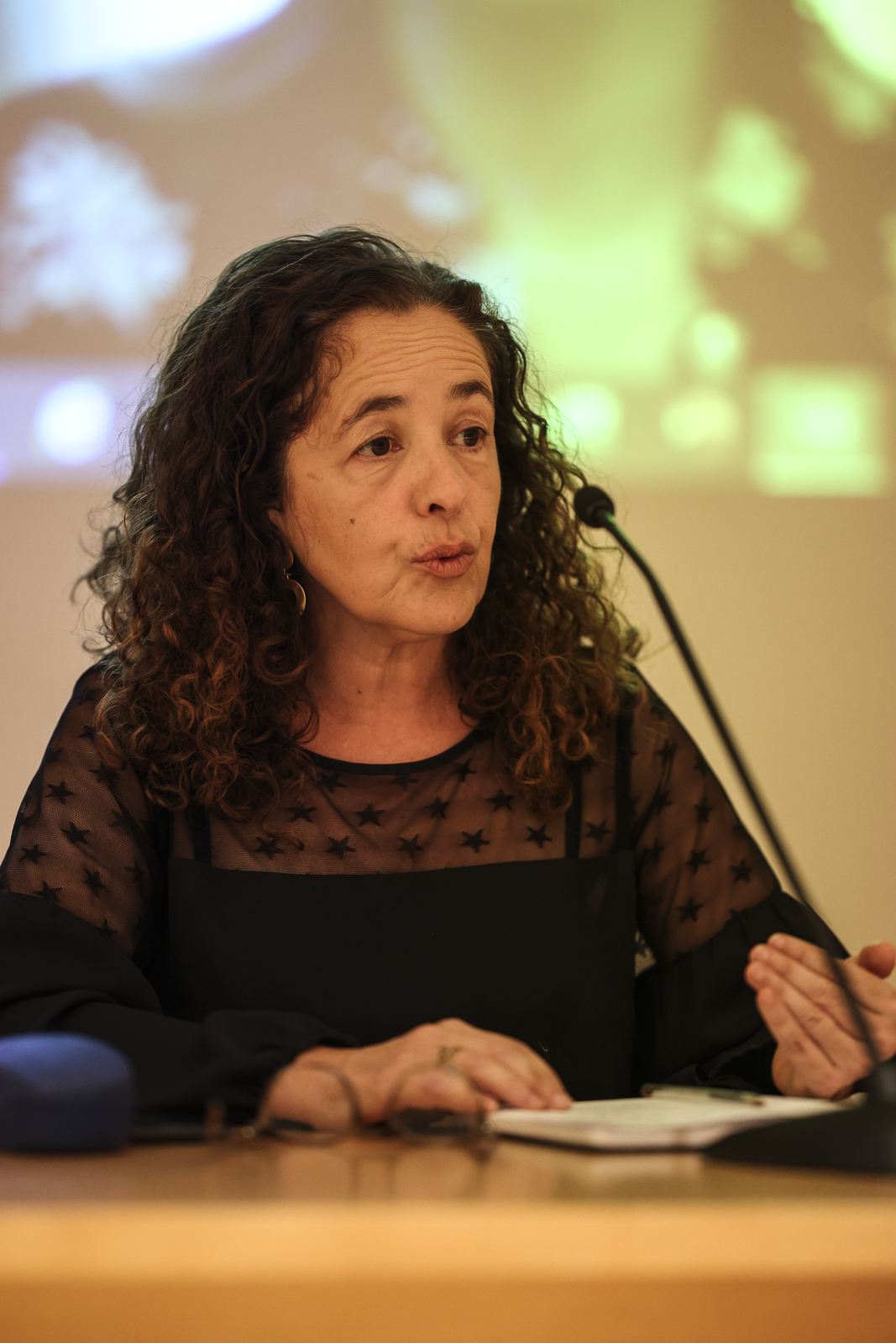 Imagem número 6 da galeria Seminário Inaugural do Programa Doutoral em Sociologia