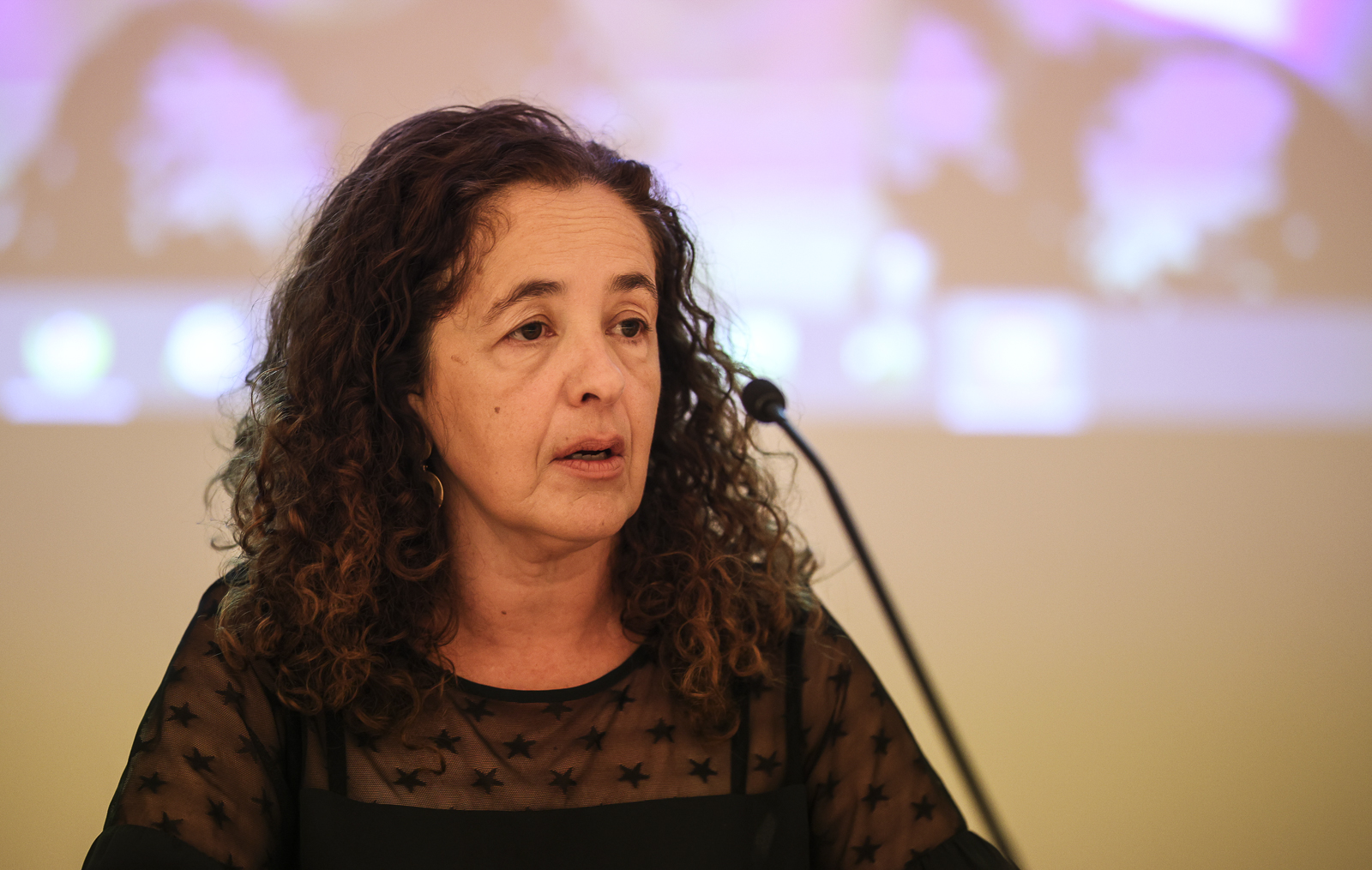 Imagem número 5 da galeria Seminário Inaugural do Programa Doutoral em Sociologia