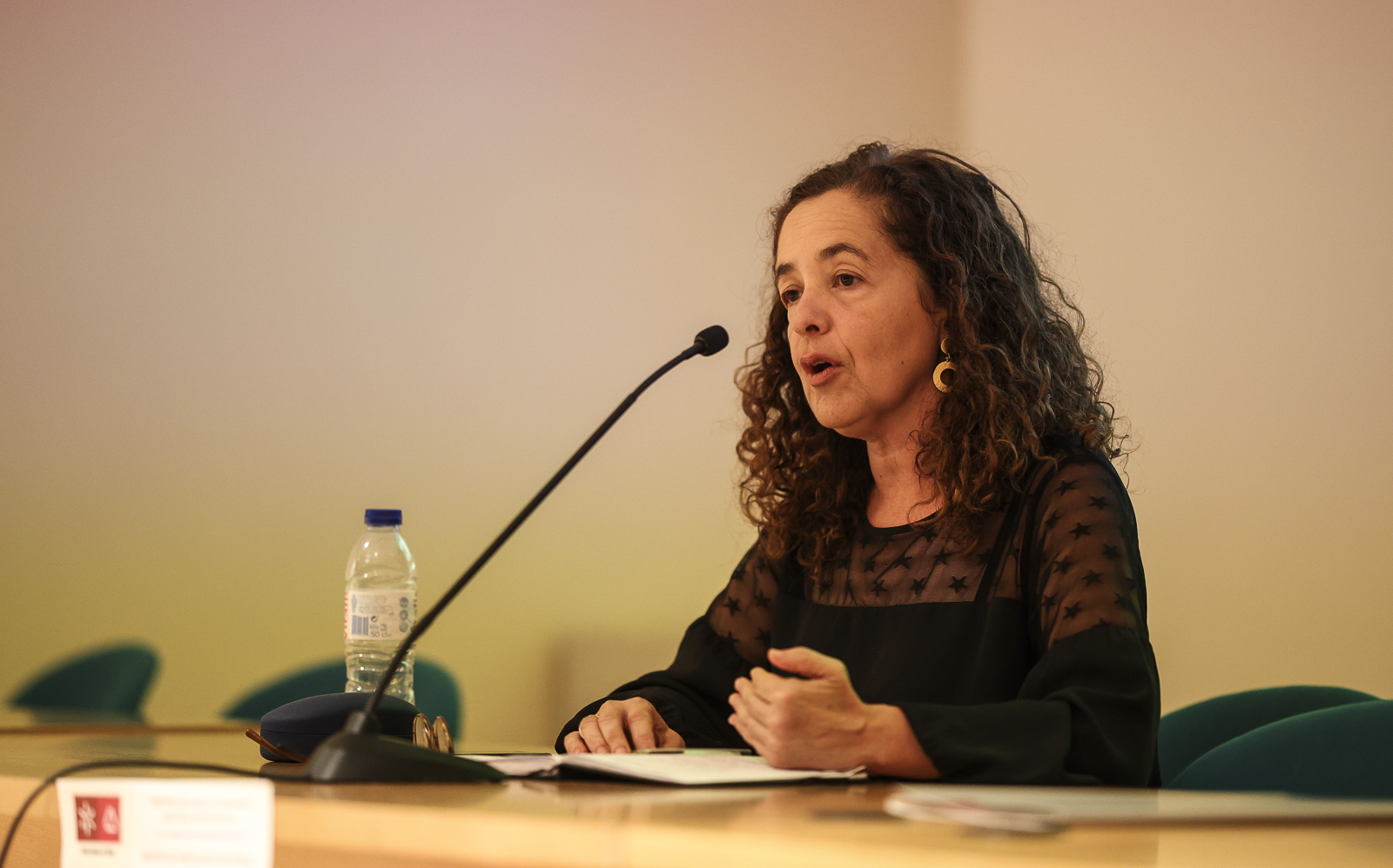 Imagem número 4 da galeria Seminário Inaugural do Programa Doutoral em Sociologia