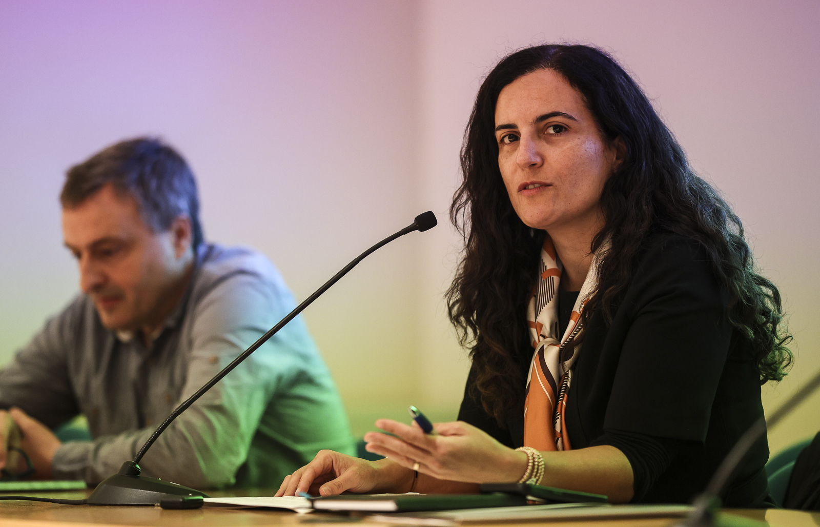 Imagem número 10 da galeria Seminário Inaugural do Programa Doutoral em Sociologia