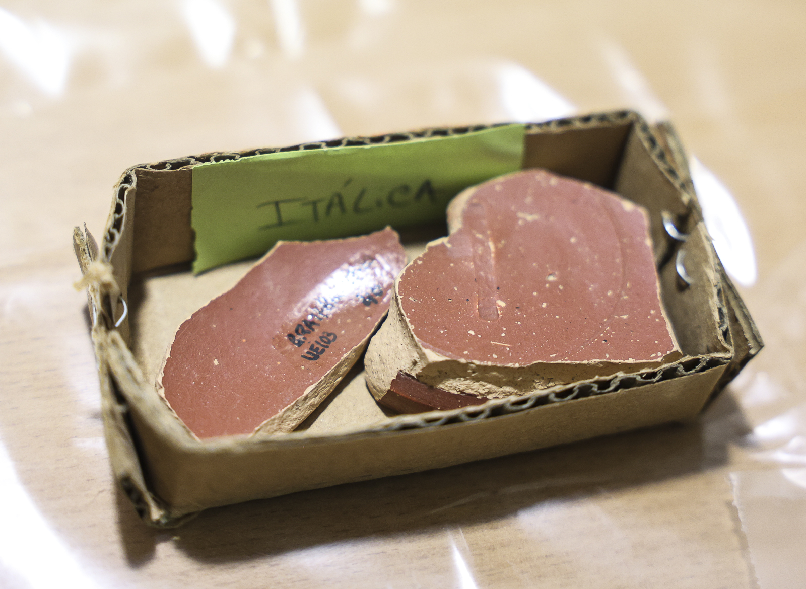 Imagem número 7 da galeria VEM