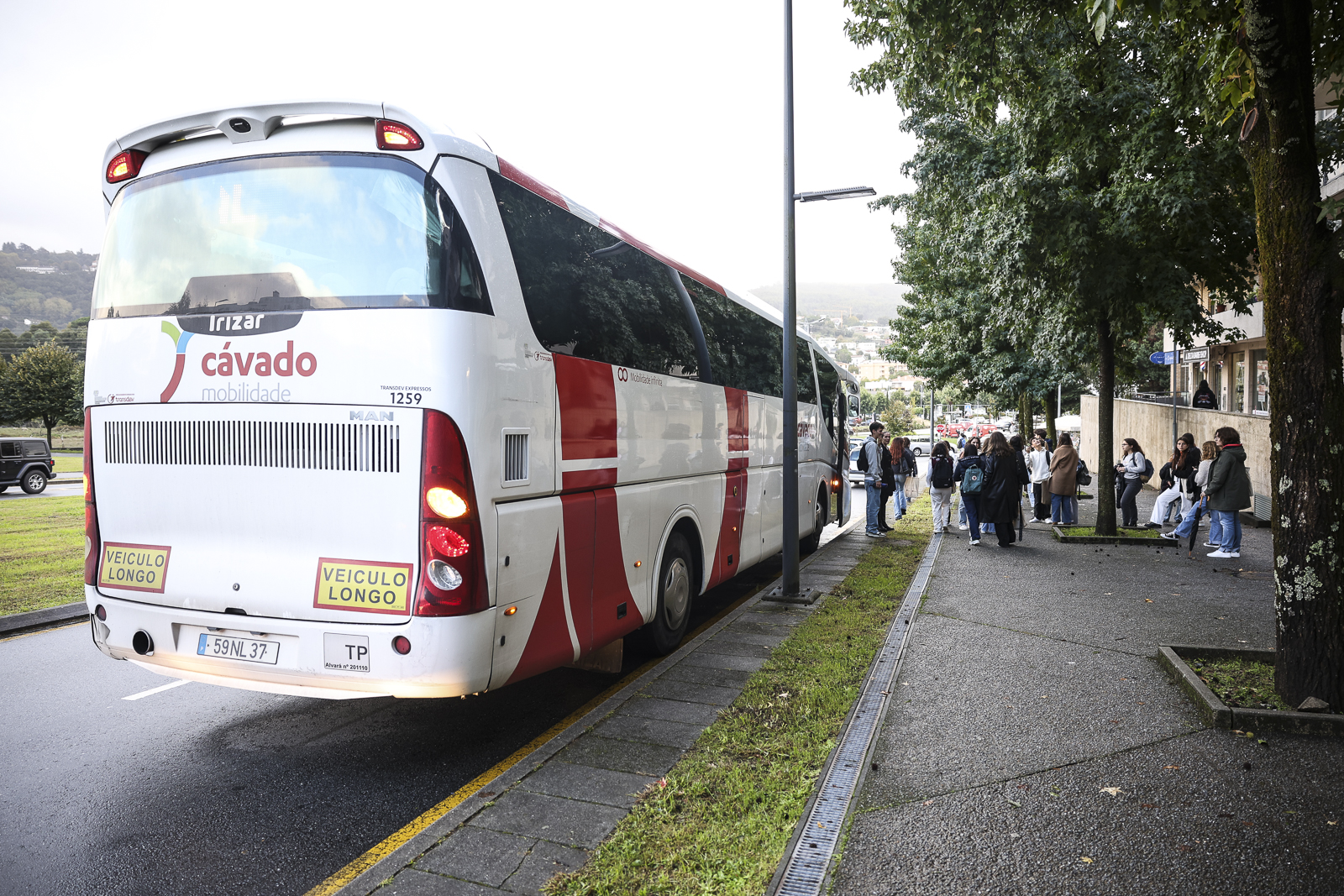 Imagem número 2 da galeria VEM