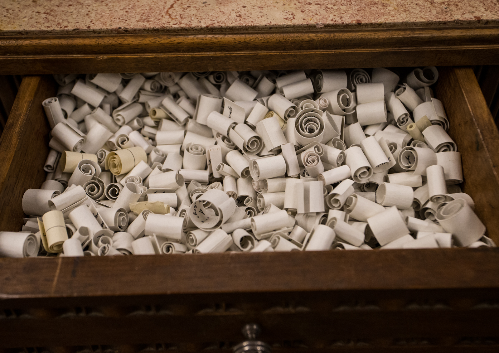 Imagem número 6 da galeria 48º Aniversário da UMinho