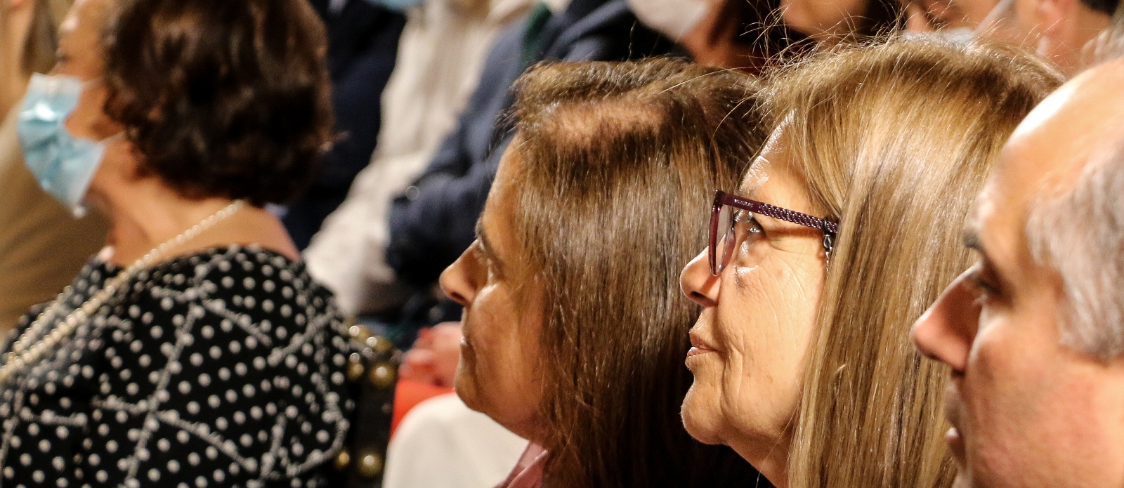 Imagem número 9 da galeria Apresentação do livro - COVID-19 em Portugal a estratégia