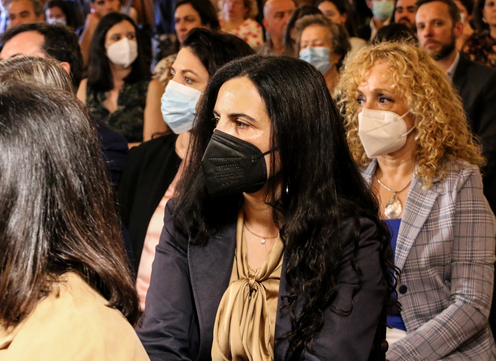 Imagem número 4 da galeria Apresentação do livro - COVID-19 em Portugal a estratégia