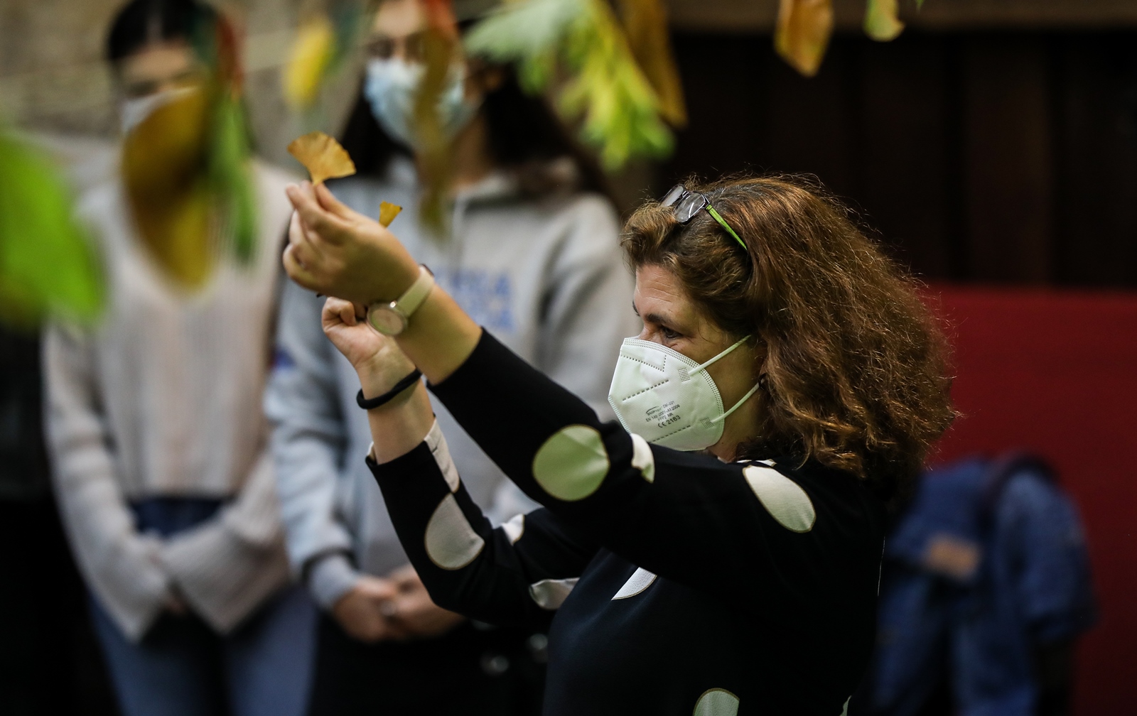 Imagem número 4 da galeria Dia Internacional das Plantas