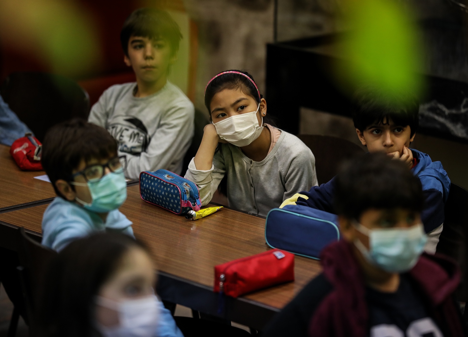 Imagem número 2 da galeria Dia Internacional das Plantas